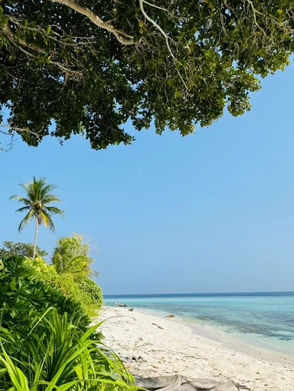 Фото тур на Мальдивах (3/28)