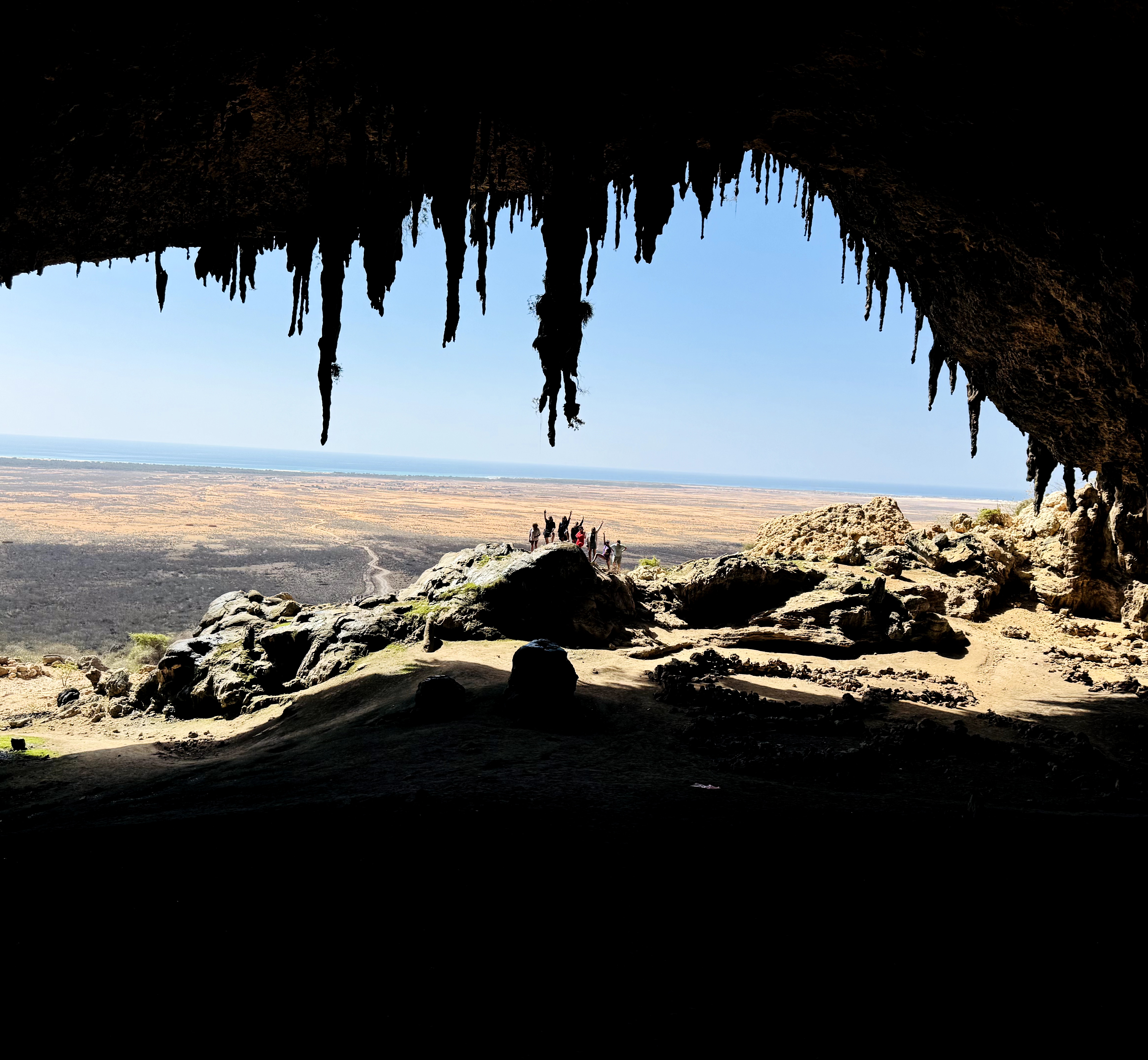 Сокотра - тур на остров блаженства (4/48)