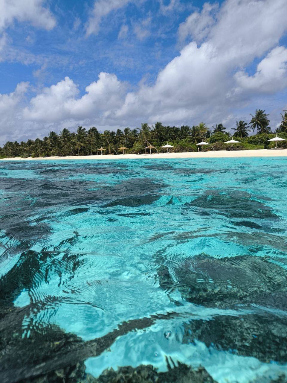 Йога тур на Мальдивы (13/30)