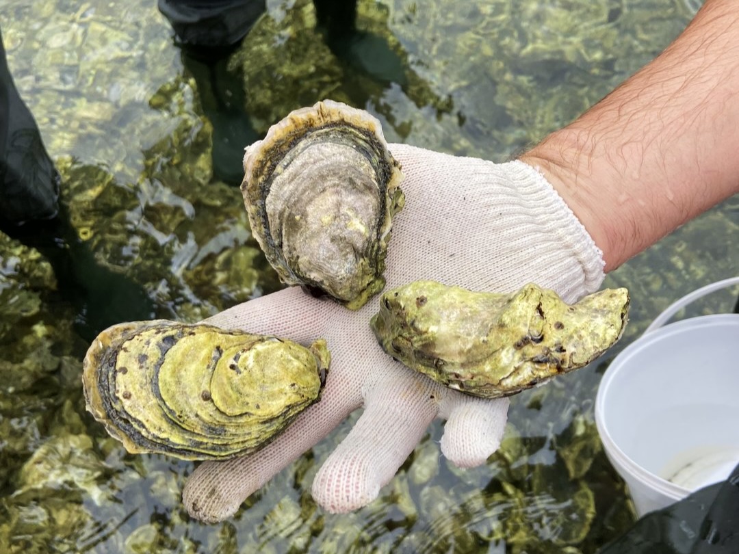 Озеро Буссе