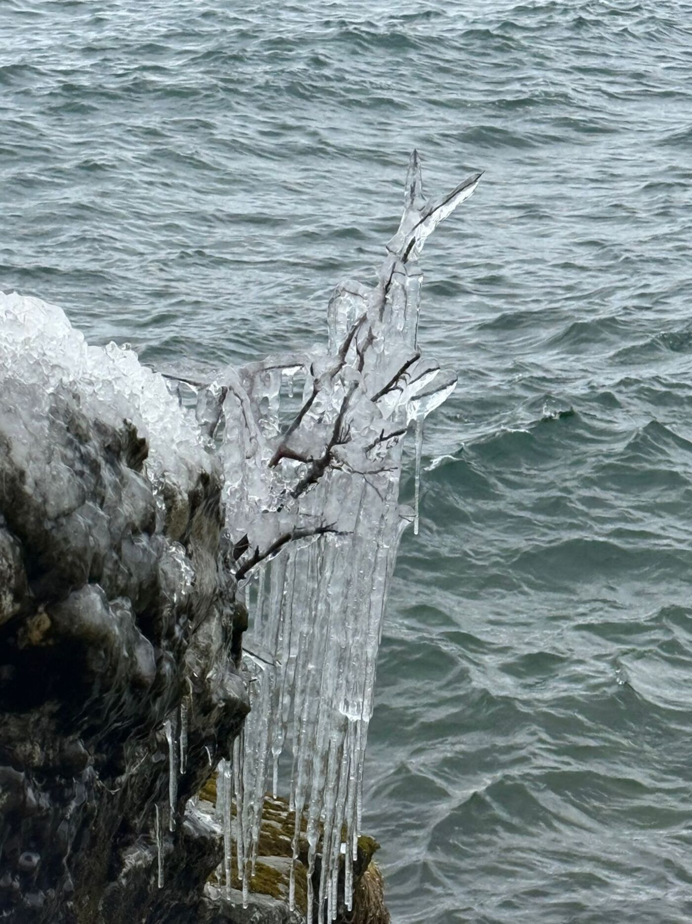 Энергия Байкала: горячие источники, природа, настоящие северные олени (8/16)