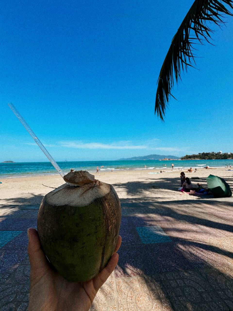 Покори Вьетнам (36/53)