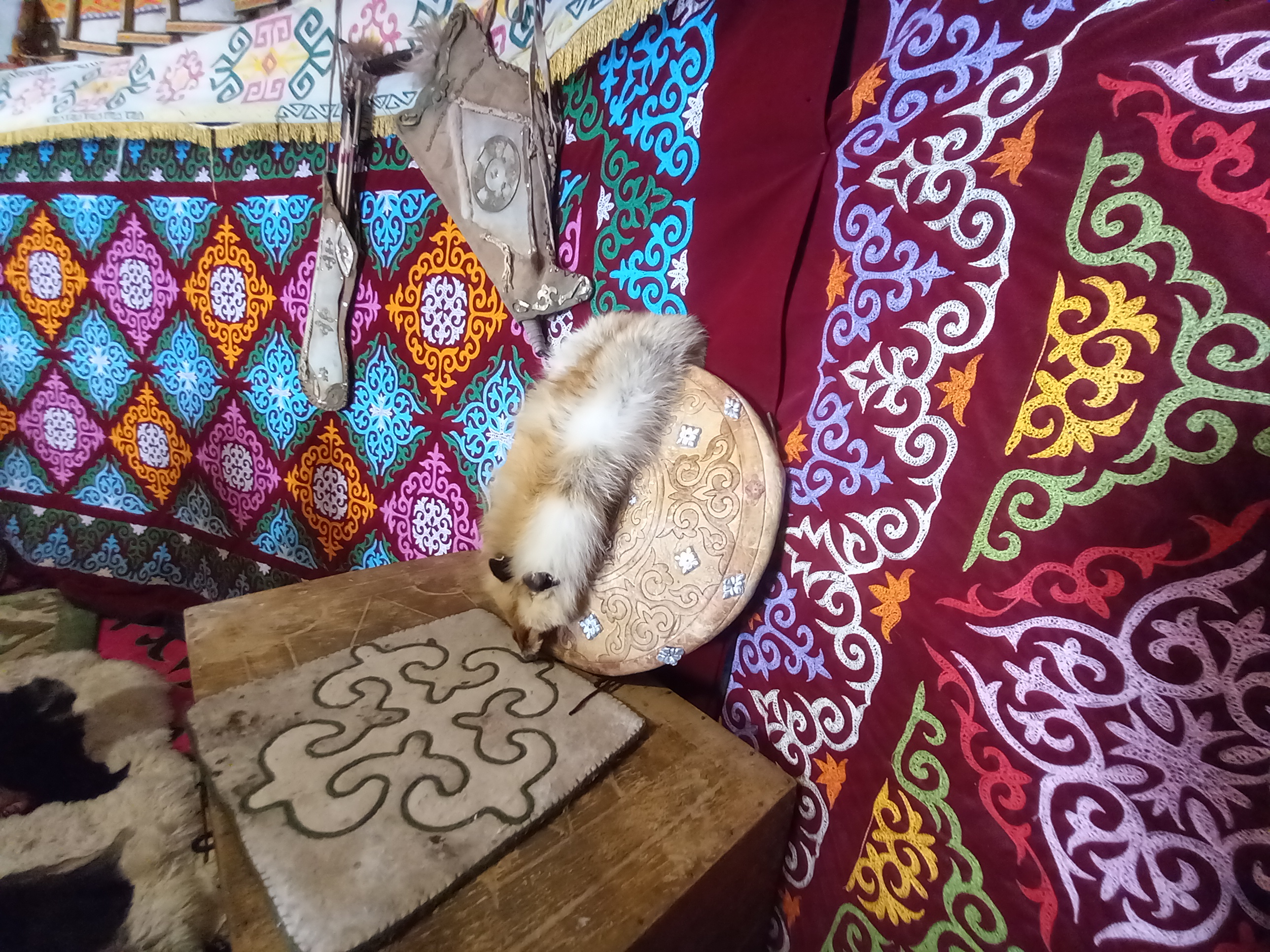 Путешествие в сердце кочевой культуры (14/30)