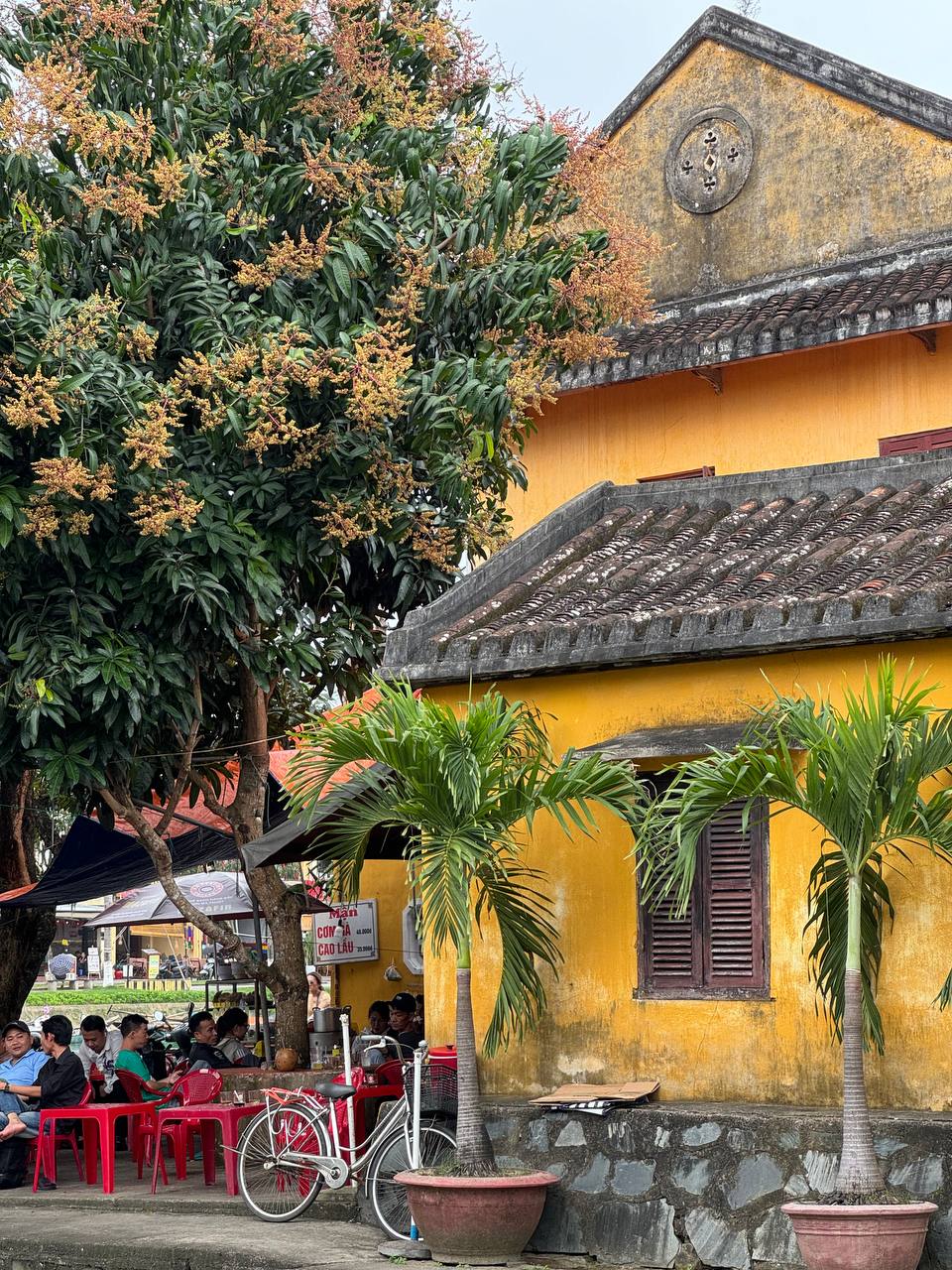 Покори Вьетнам (11/53)