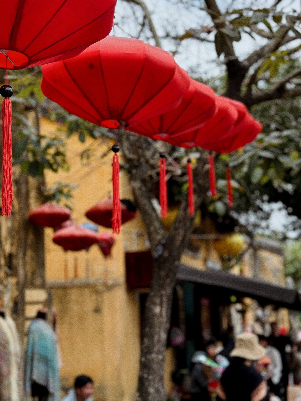 Покори Вьетнам (7/53)