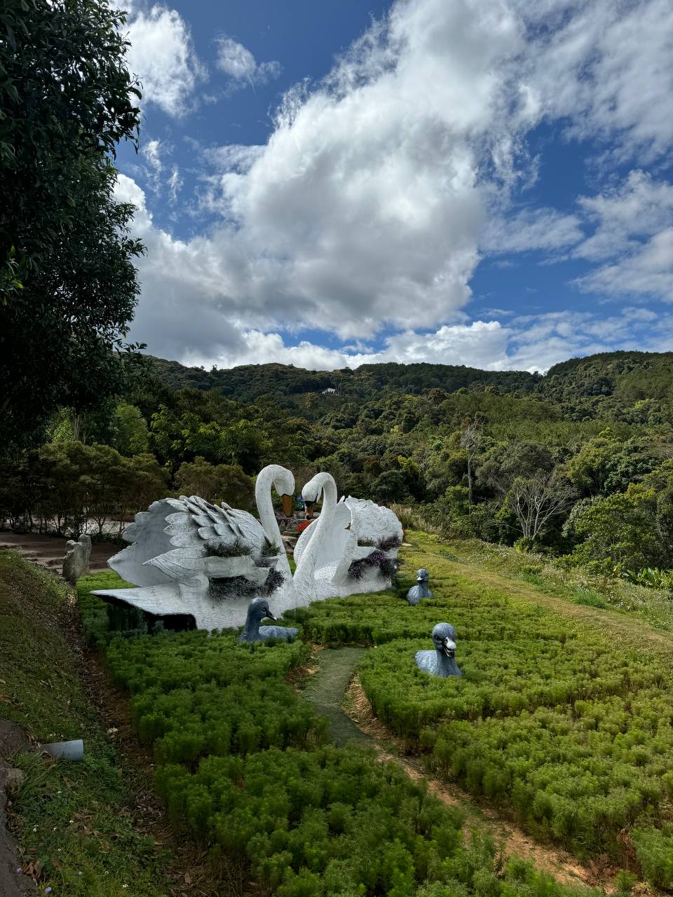 Покори Вьетнам (26/53)