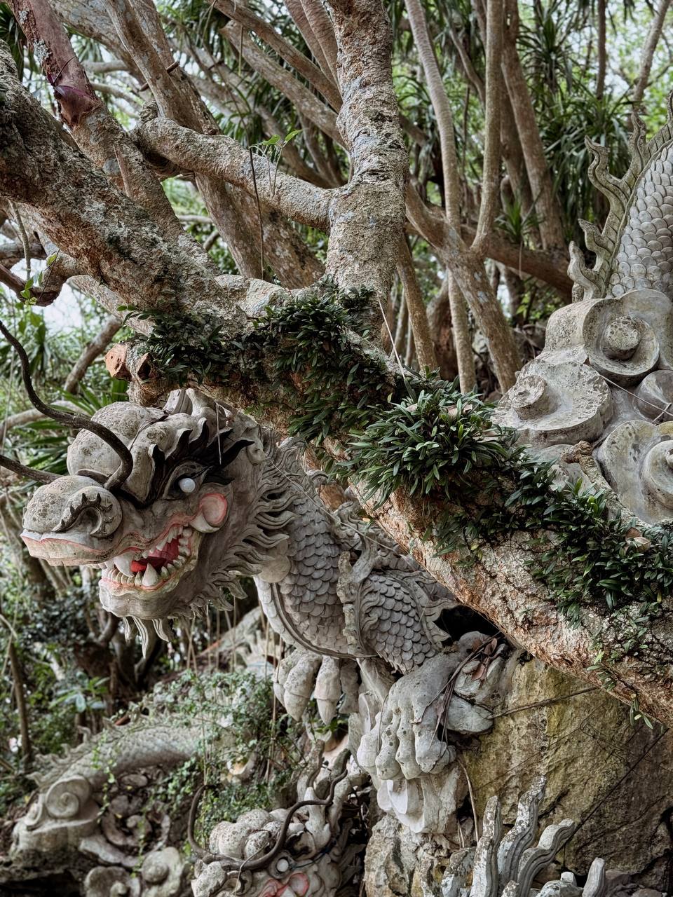 Покори Вьетнам (29/53)