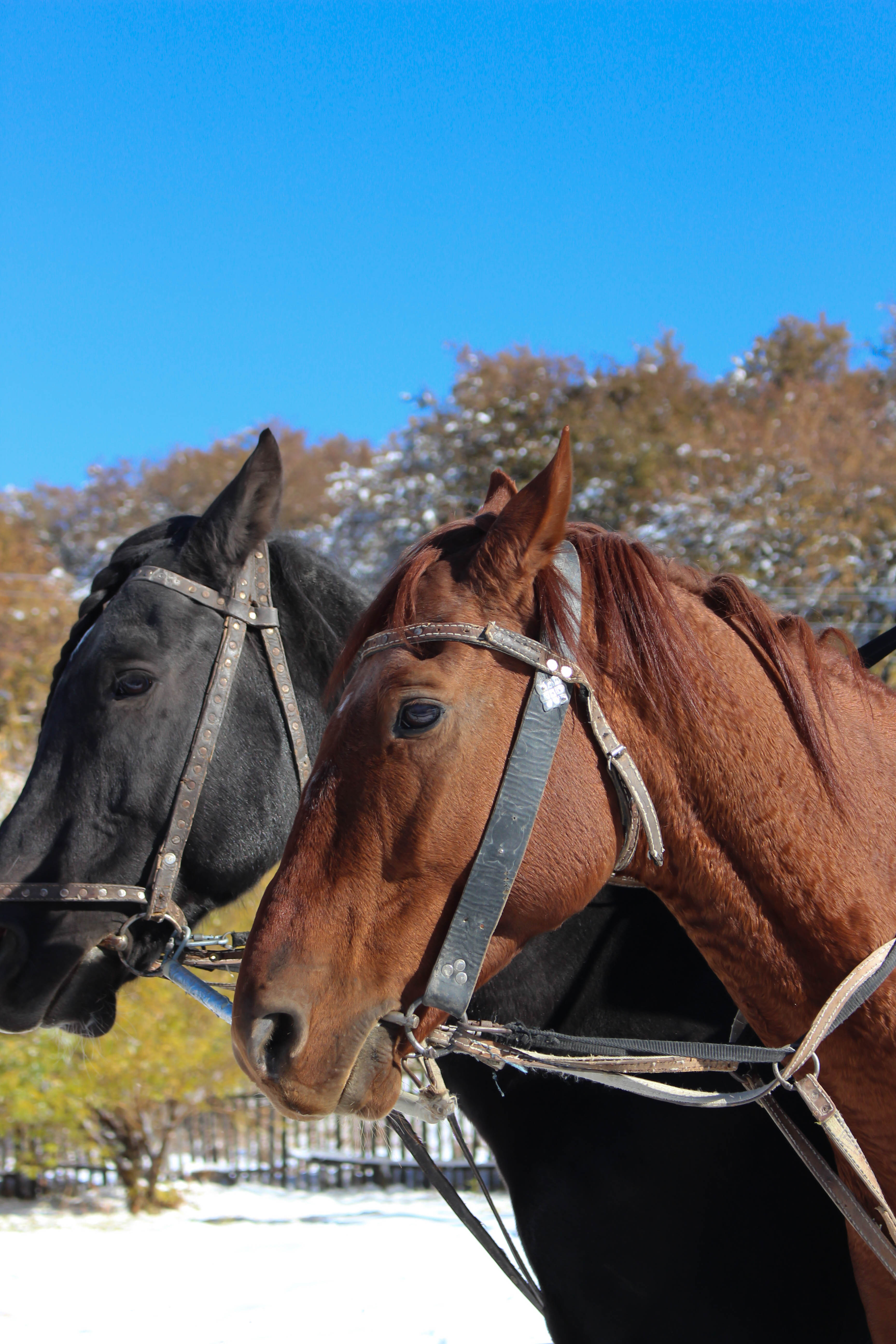 Путешествие в сердце кочевой культуры (30/30)