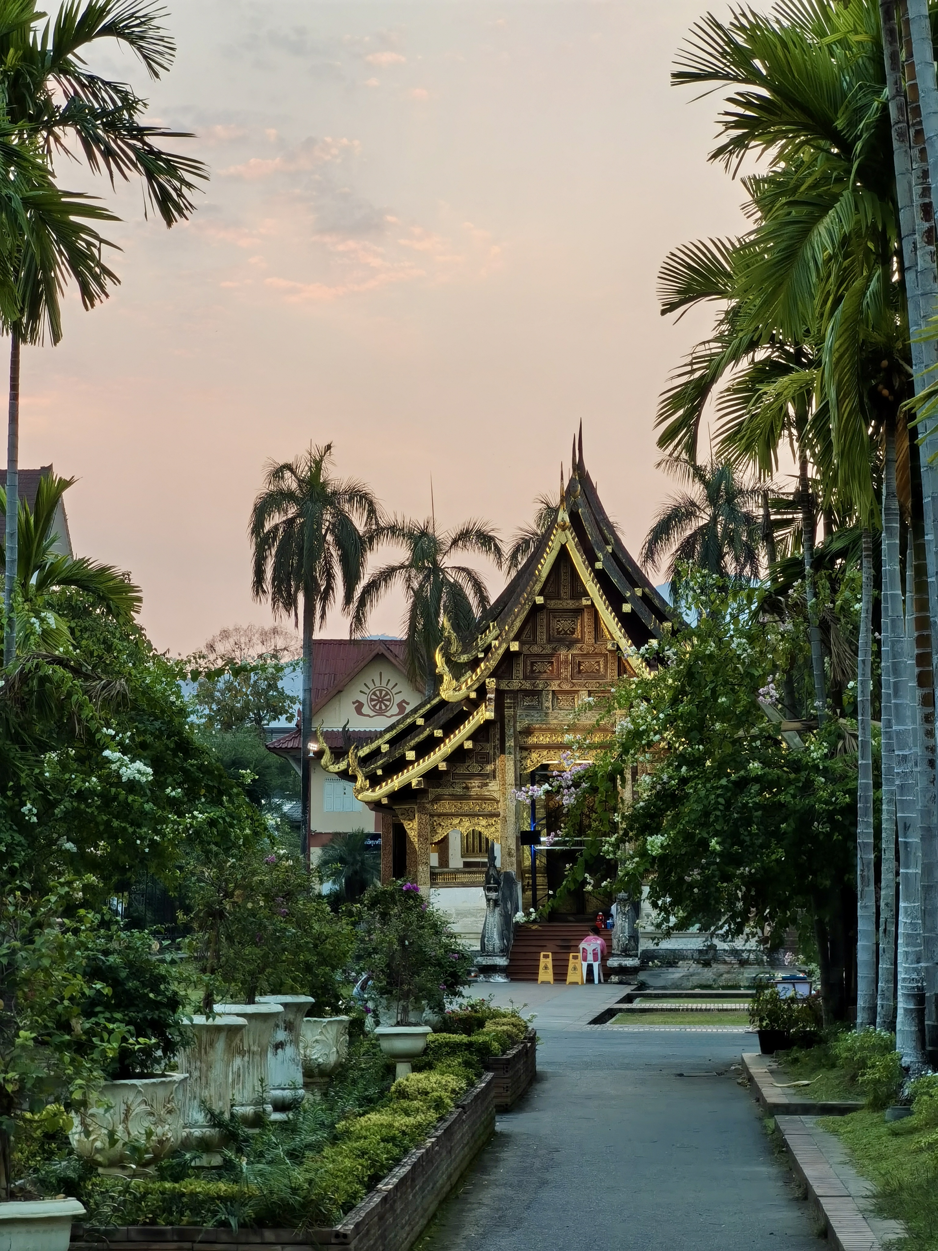 Из столичной суеты к северной столице