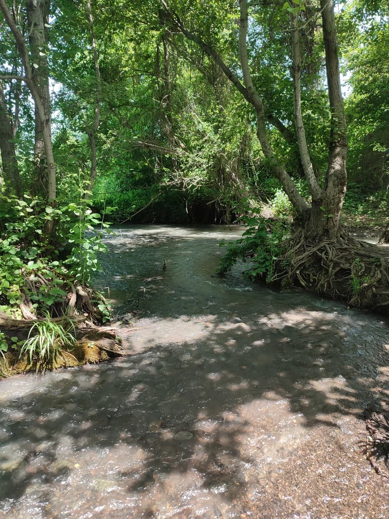 Самурский лиановый лес + Экраноплан Лунь (выезд из Дербента) (6/7)