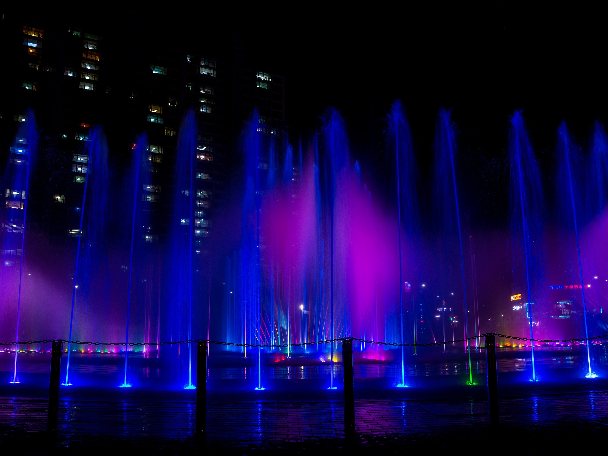 Южная Корея. Сакура в утренней свежести (21/34)