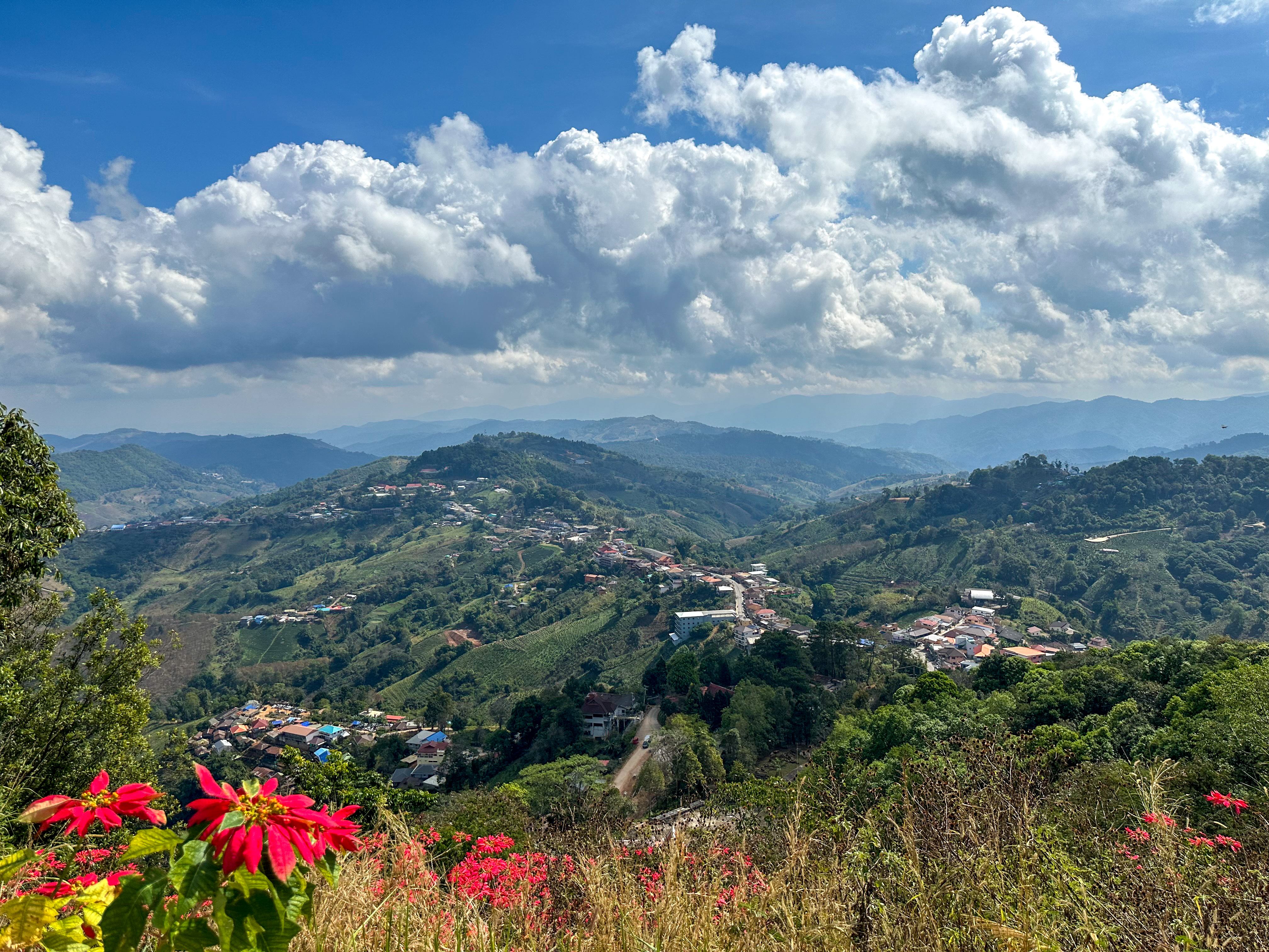 Чайные террасы и горные серпантины Мае Салонг
