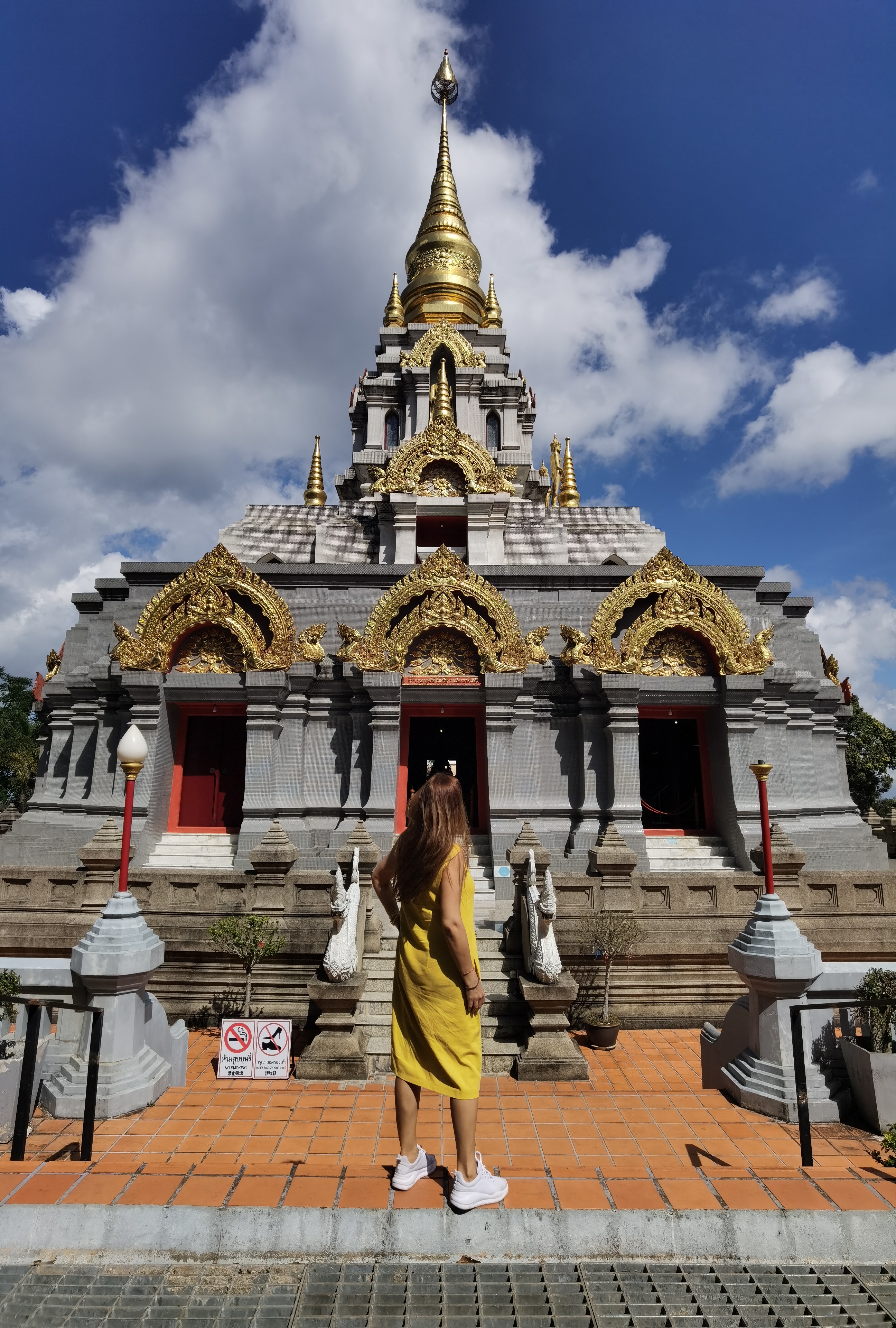 Чайные террасы и горные серпантины Мае Салонг