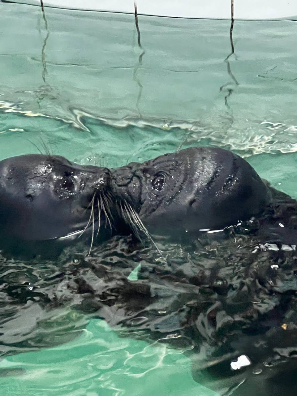 Зимняя сказка Байкала (9/23)