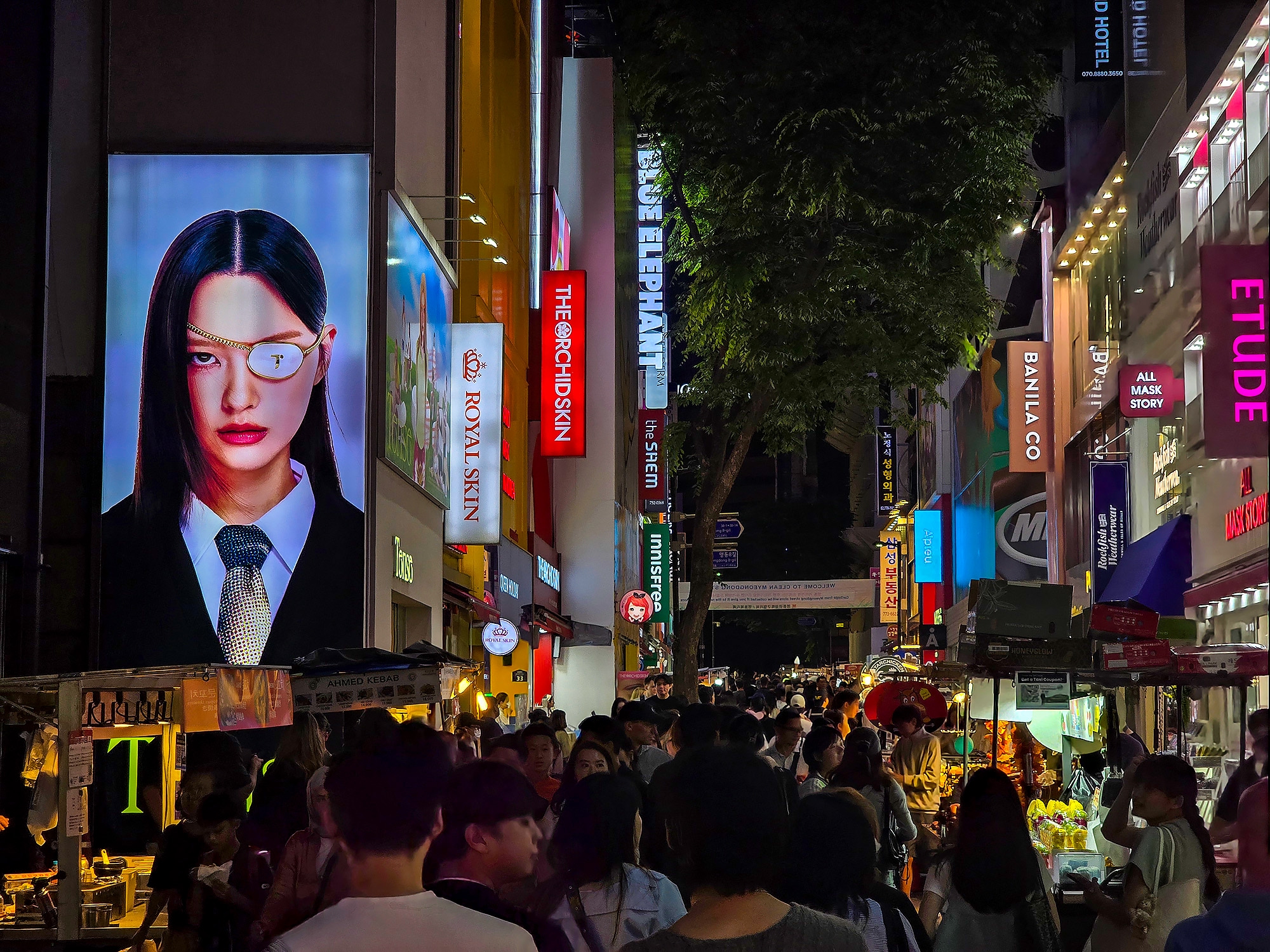 Южная Корея. Сакура в утренней свежести (31/34)