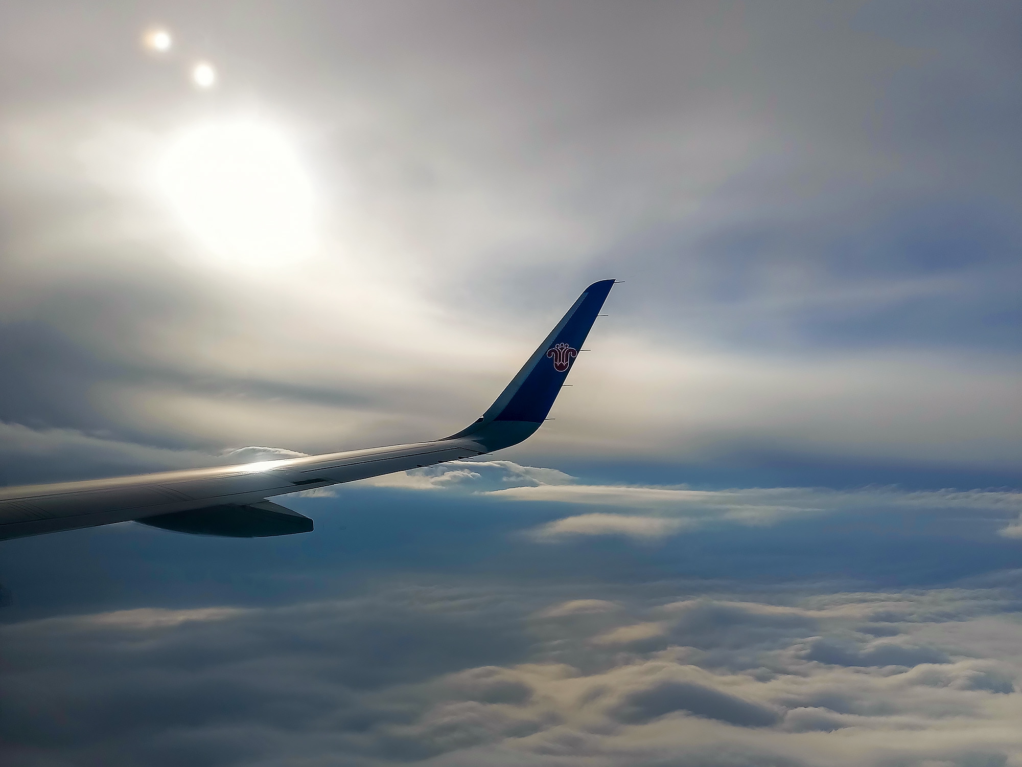 Южная Корея. Сакура в утренней свежести (34/34)