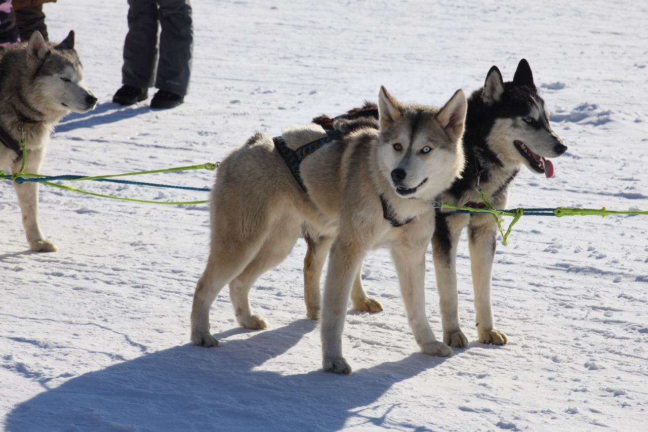 Зимняя сказка Байкала (10/23)