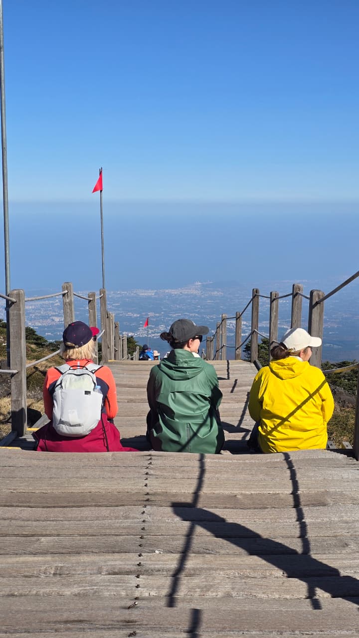 Южная Корея. Сакура в утренней свежести (30/34)