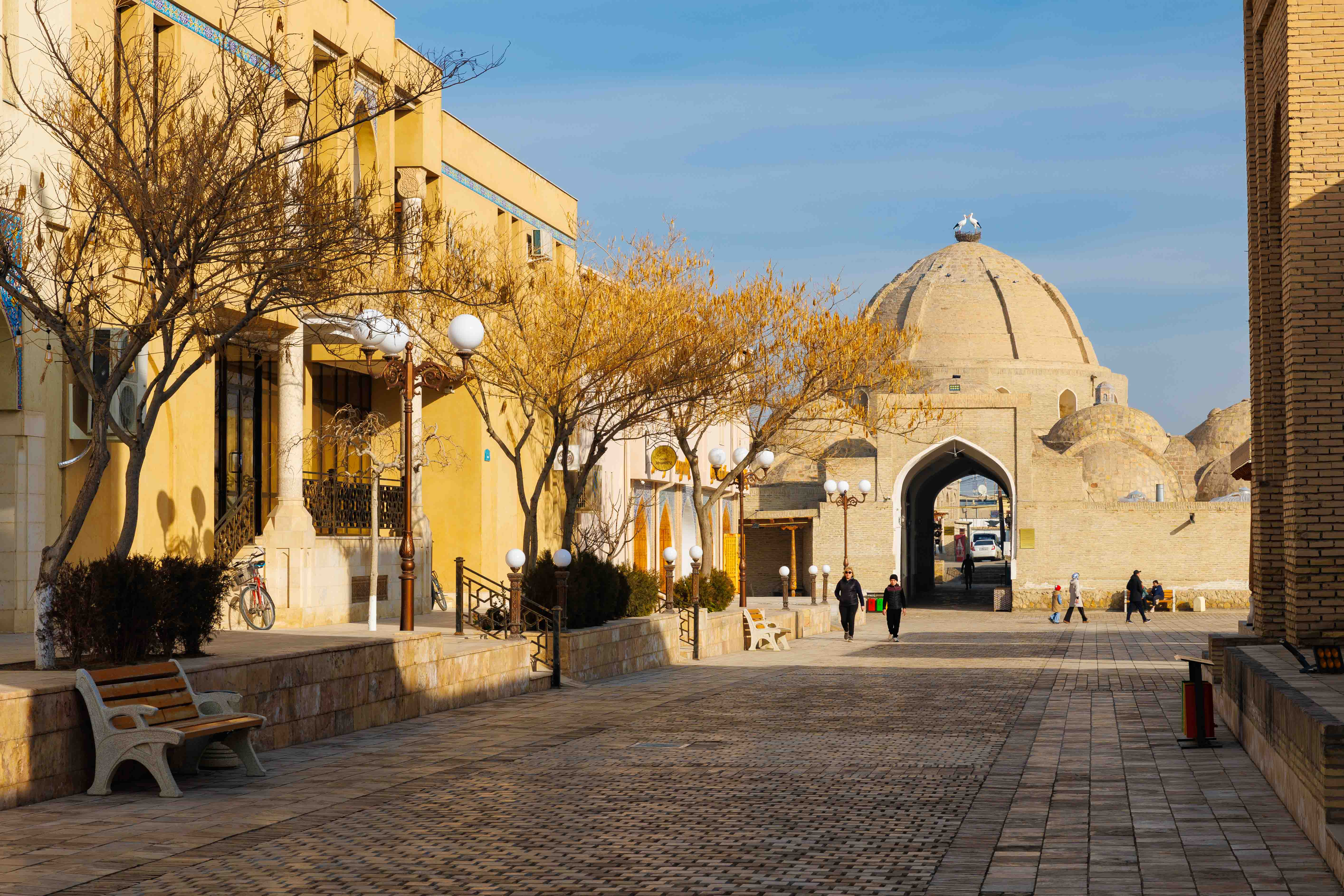 Ташкент, Самарканд, Бухара и Фанские горы (19/54)