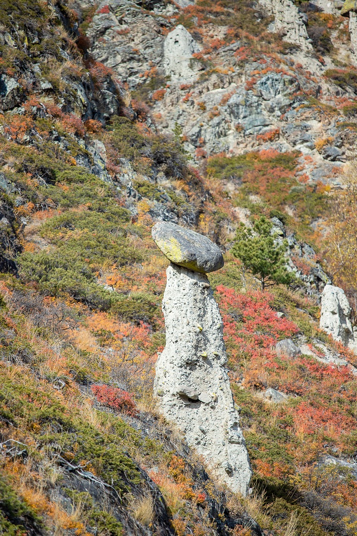 Золотое кольцо Алтая (9/21)