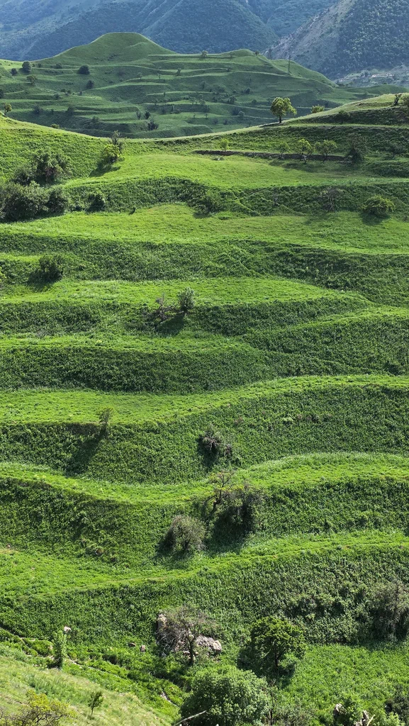 Дагестан: 5 дней в мире гор и традиций (41/44)