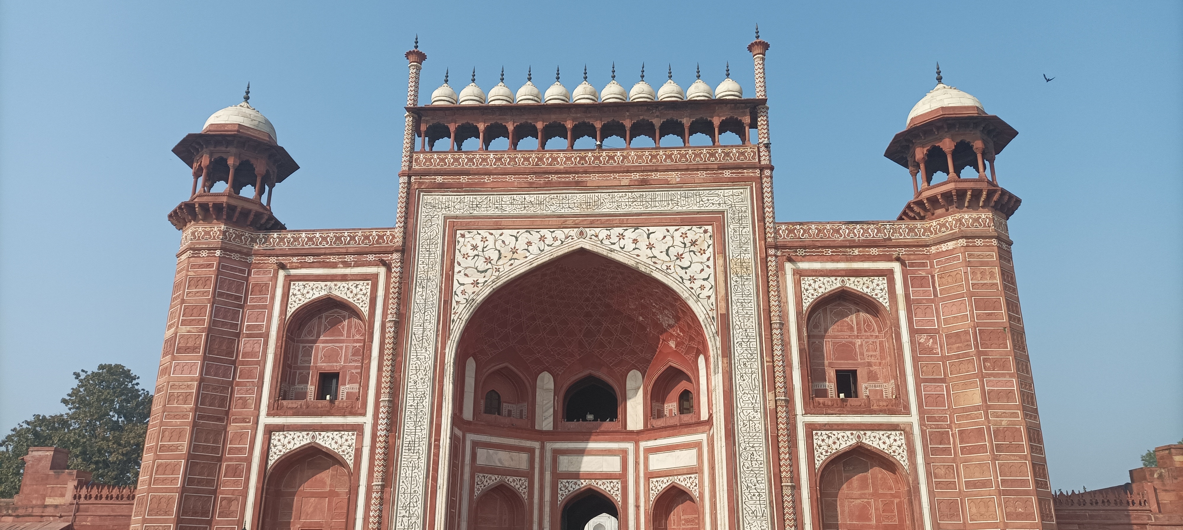 Индия глазами Рерихов (Гималаи, резиденция Далай Ламы) + Золотой треугольник (29/32)