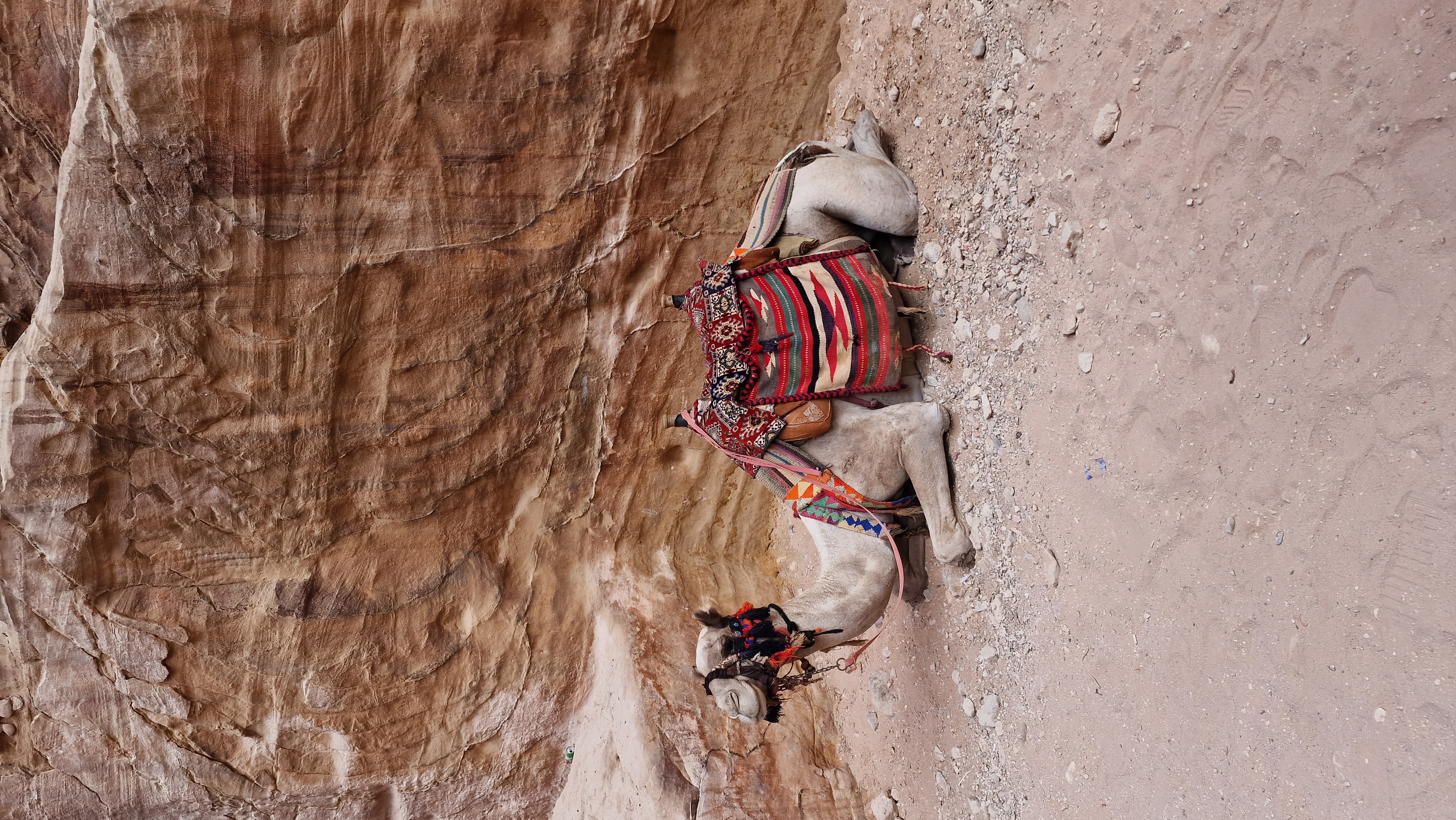 Загадки Иордании (с обедами) (24/24)