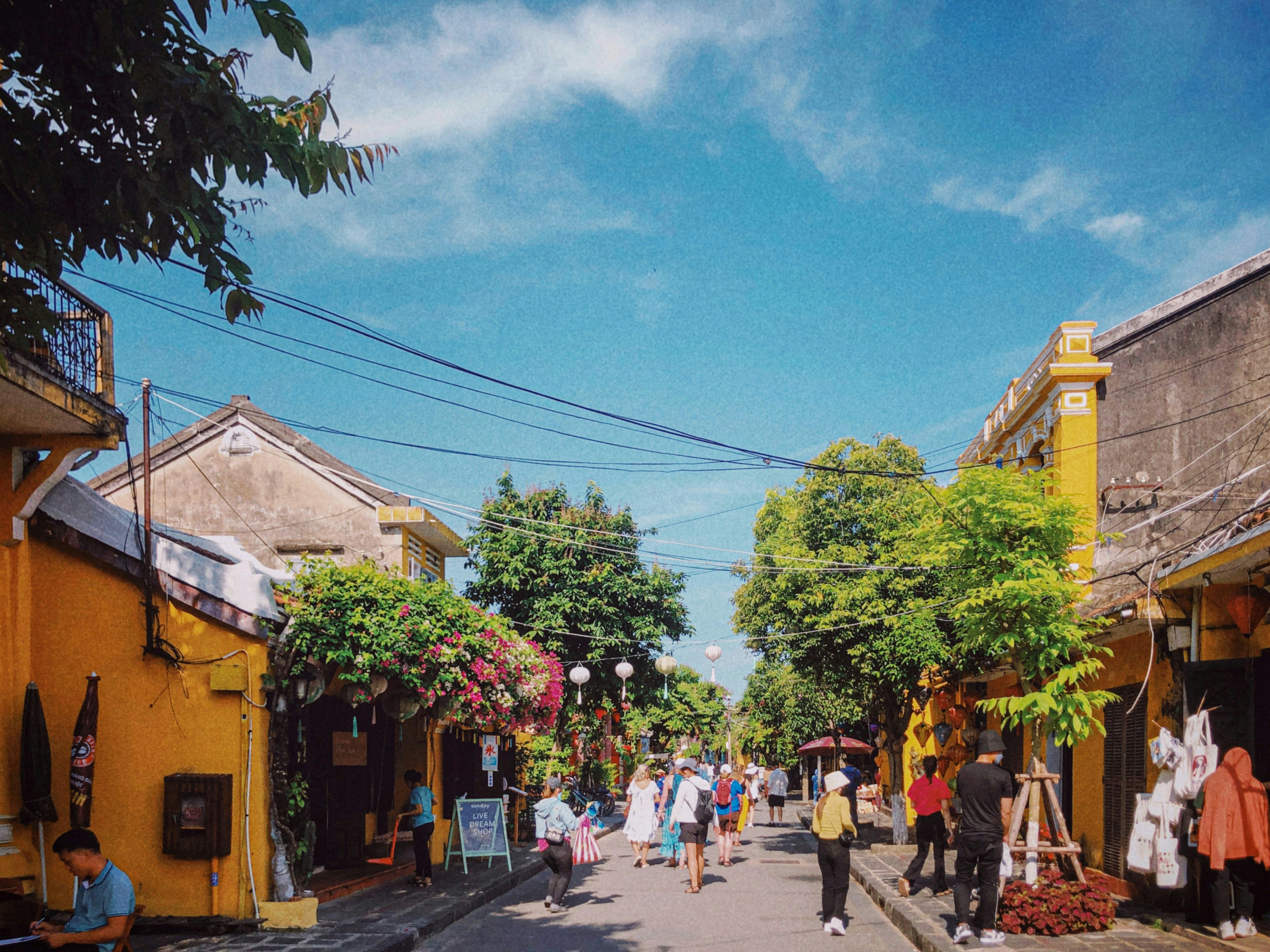 Промо-тур. Вьетнам: от Крыши Индокитая к солёным берегам (29/35)