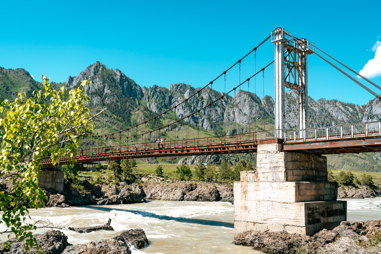 Туда, где цветет маральник (4/13)