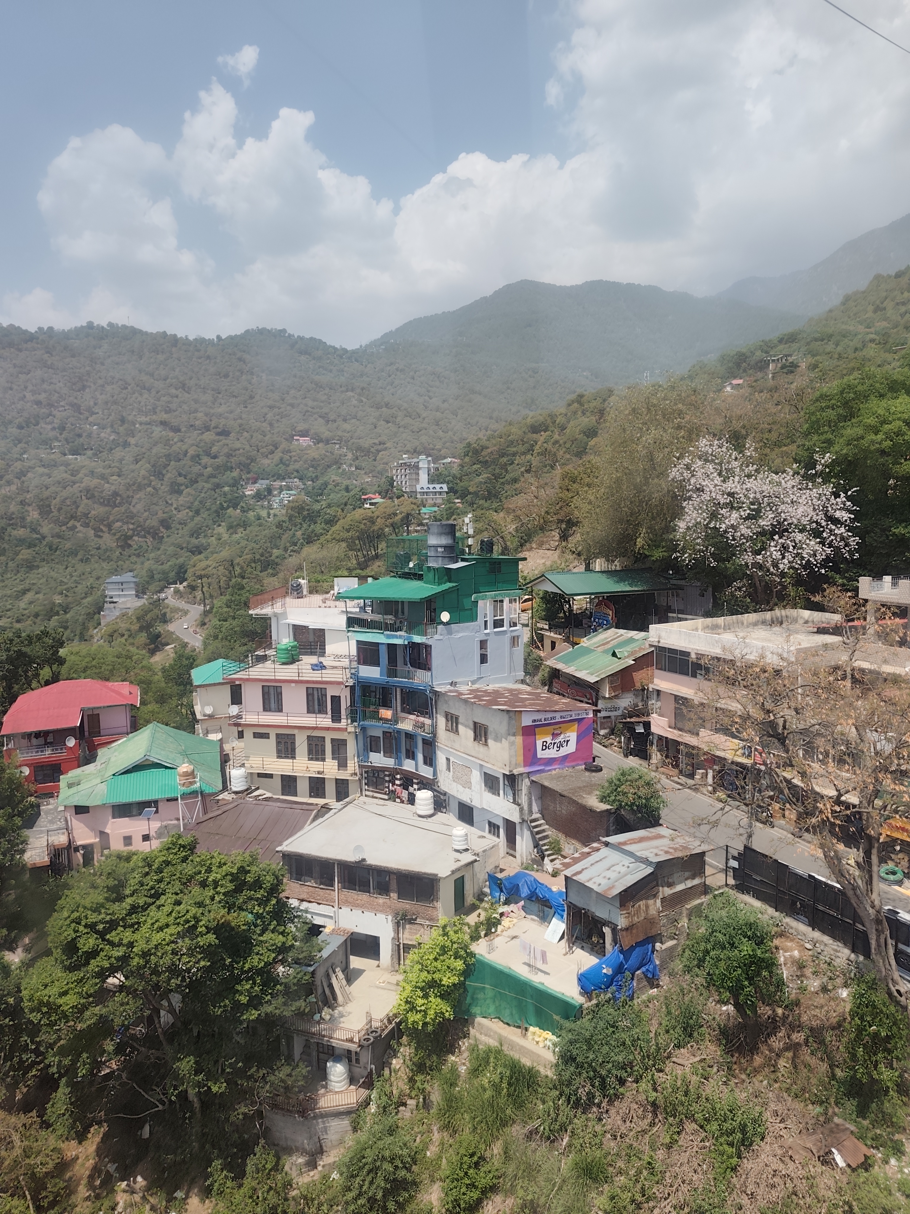 Индия глазами Рерихов (Гималаи, резиденция Далай Ламы) + Золотой треугольник (22/32)