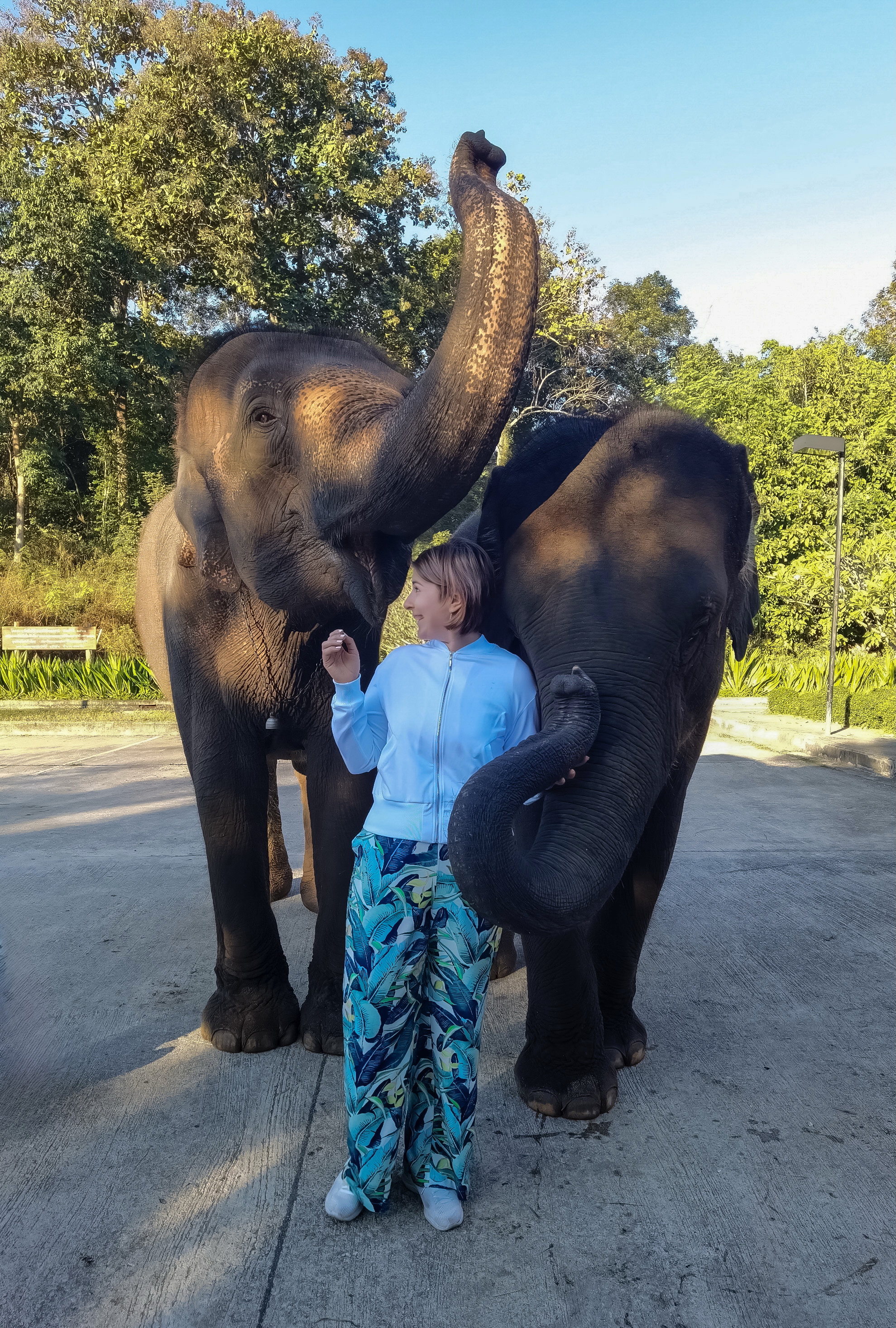 Прощание с Севером: от слонов к морю