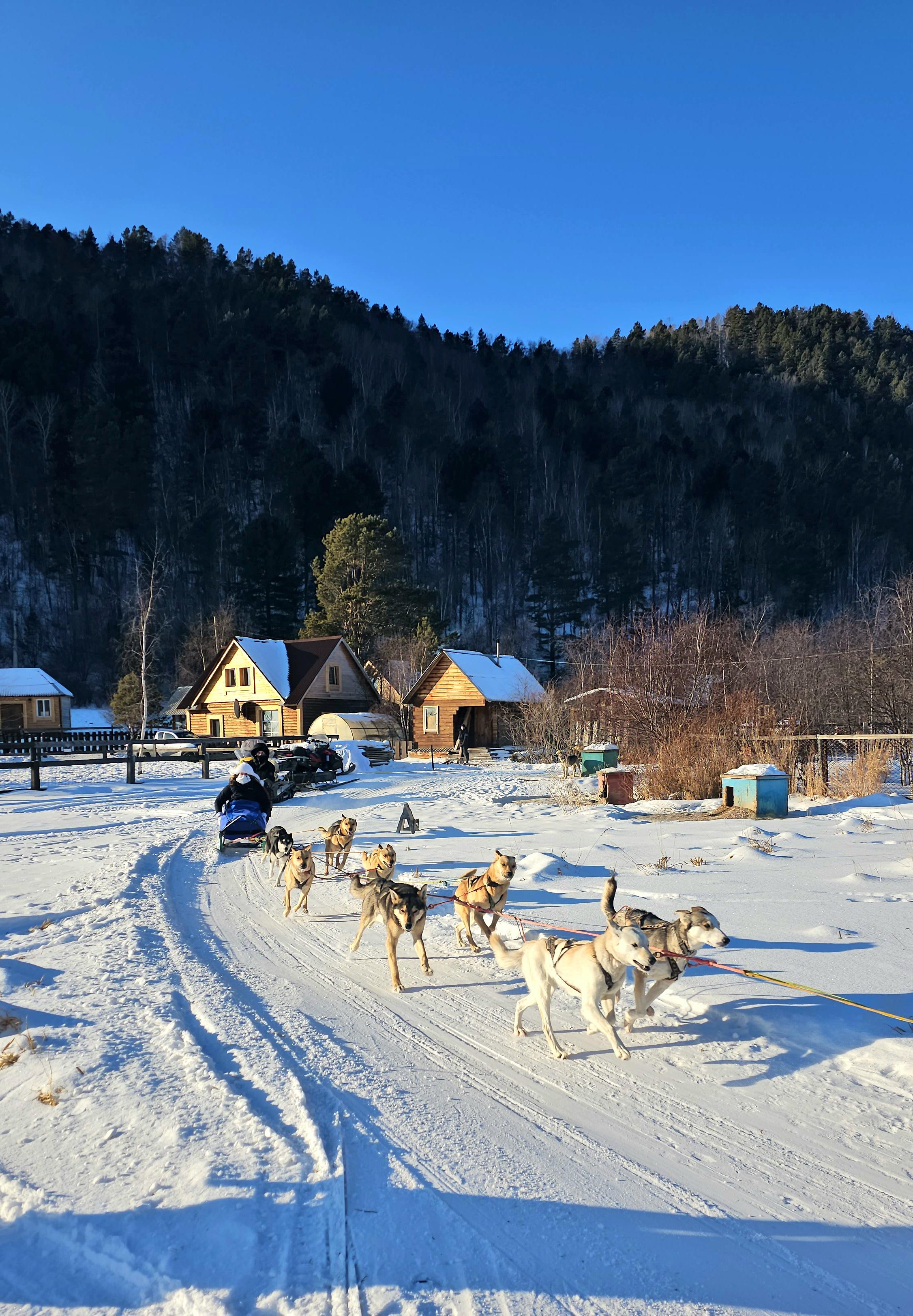 Чудеса зимнего Байкала + Хивус на весь день+фотограф, комфорт-тур (53/69)