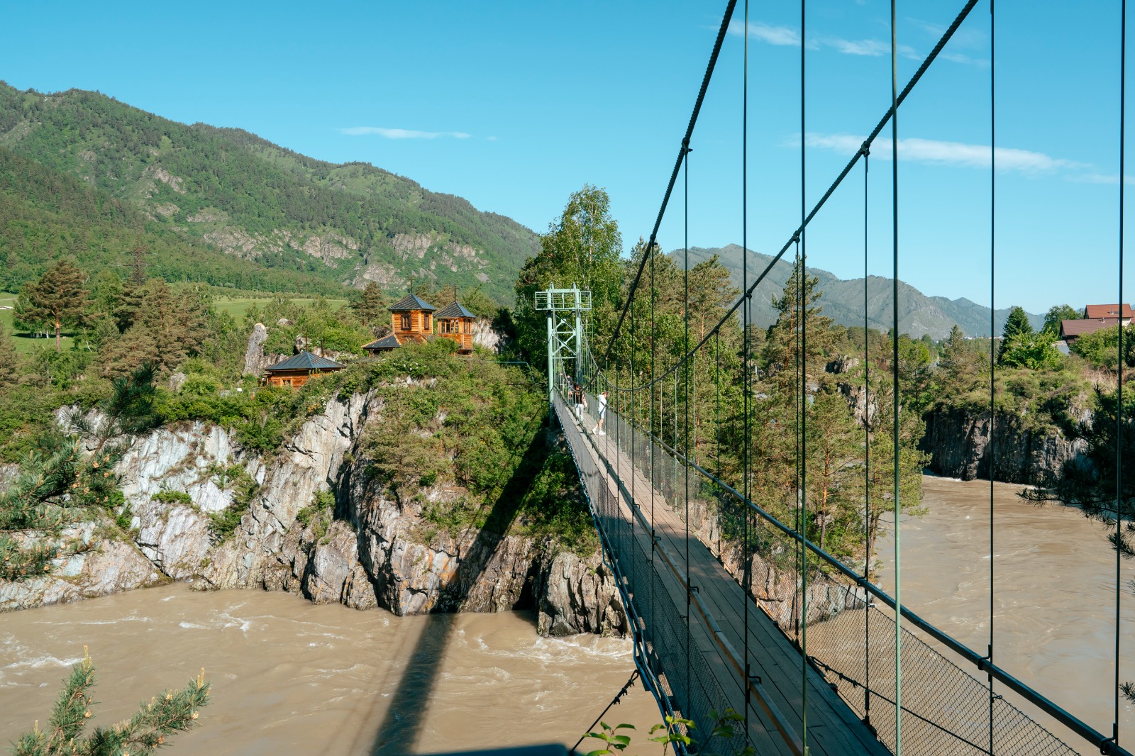 Туда, где цветет маральник (9/13)