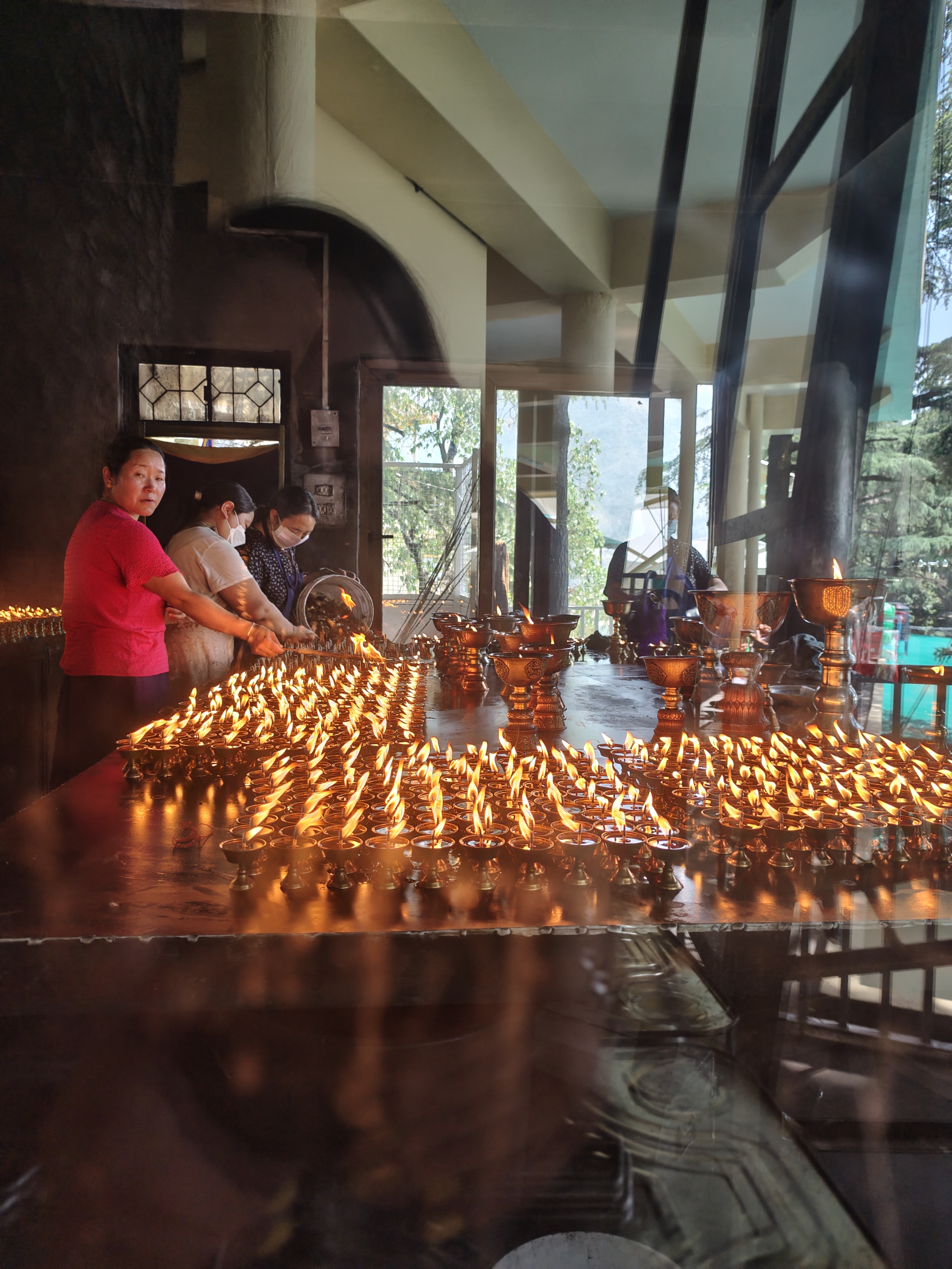 Индия глазами Рерихов (Гималаи, резиденция Далай Ламы) + Золотой треугольник (17/32)