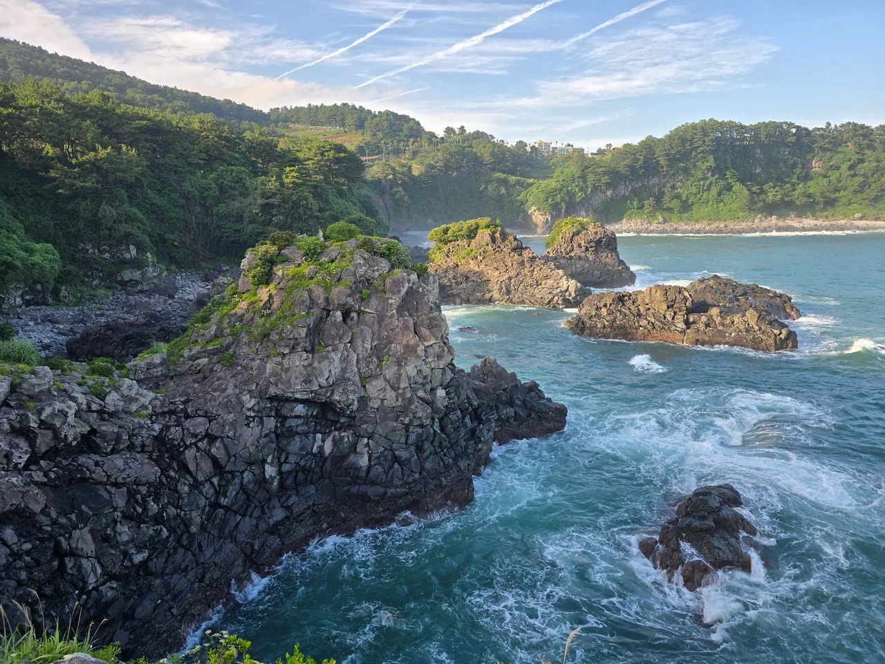 Южная Корея. Сакура в утренней свежести (27/34)