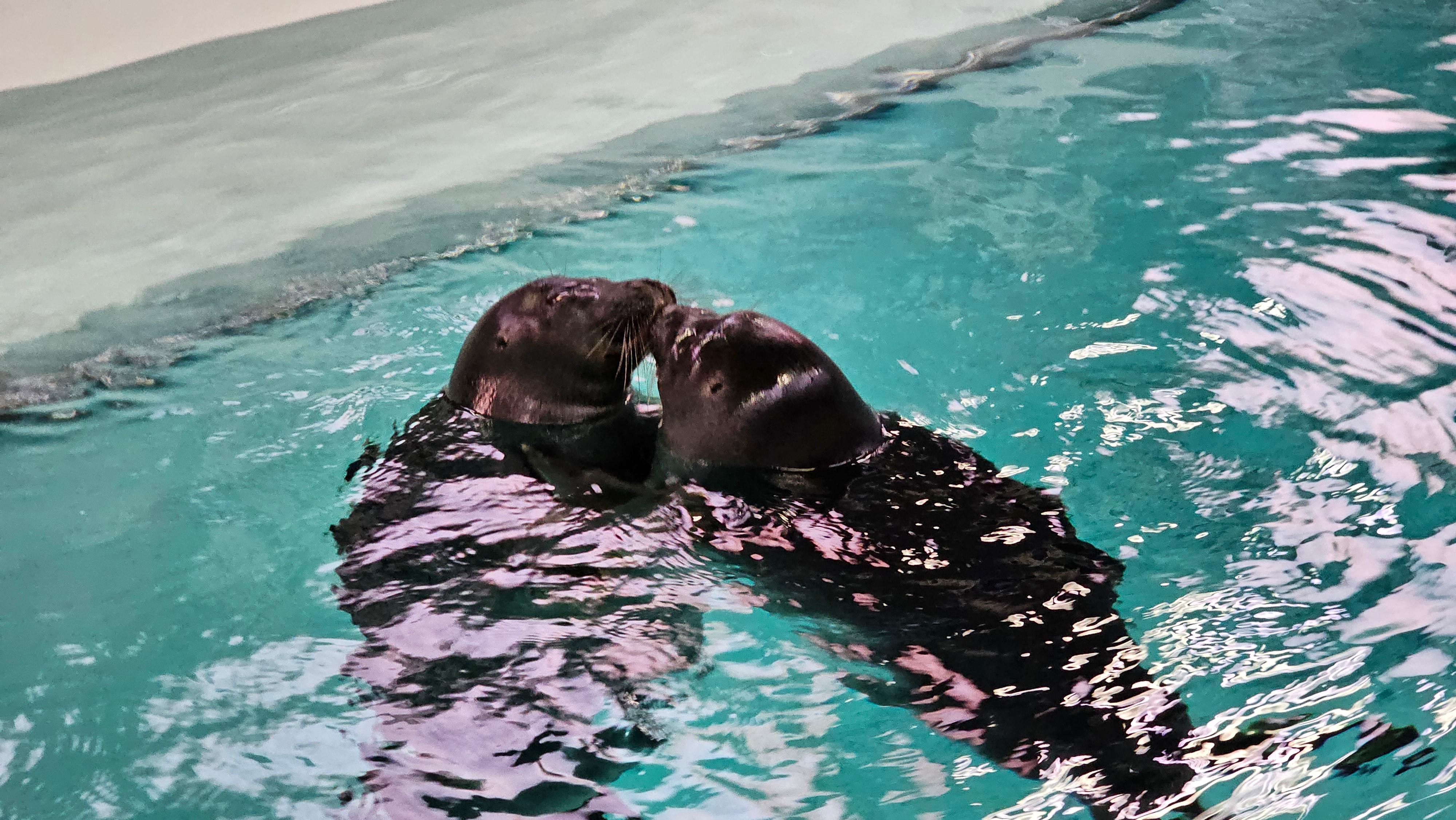 Чудеса зимнего Байкала + Хивус на весь день+фотограф, комфорт-тур (54/69)