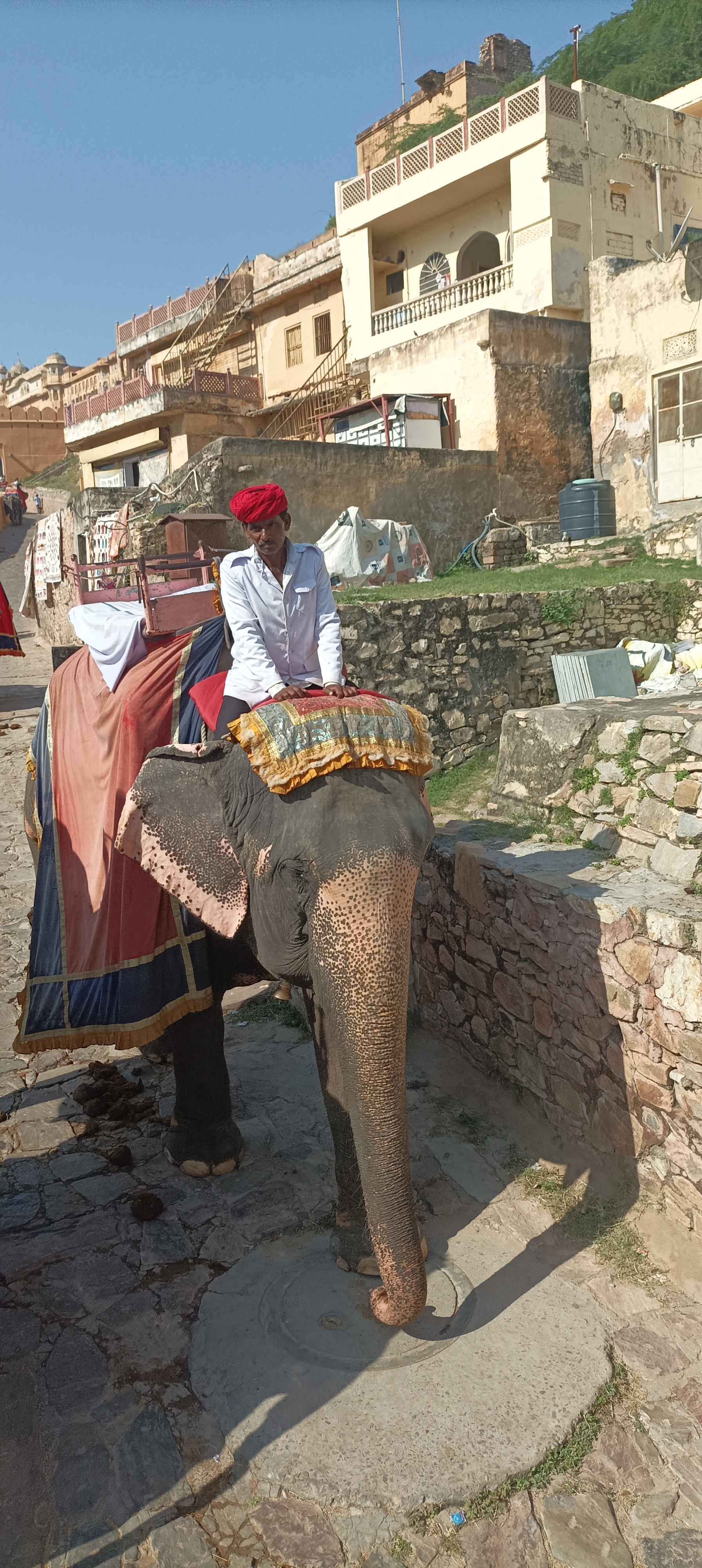 Индия глазами Рерихов (Гималаи, резиденция Далай Ламы) + Золотой треугольник (24/32)