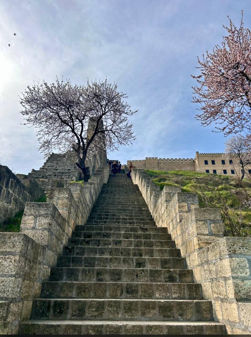 Истинный Дагестан: 5 дней открытий (34/46)