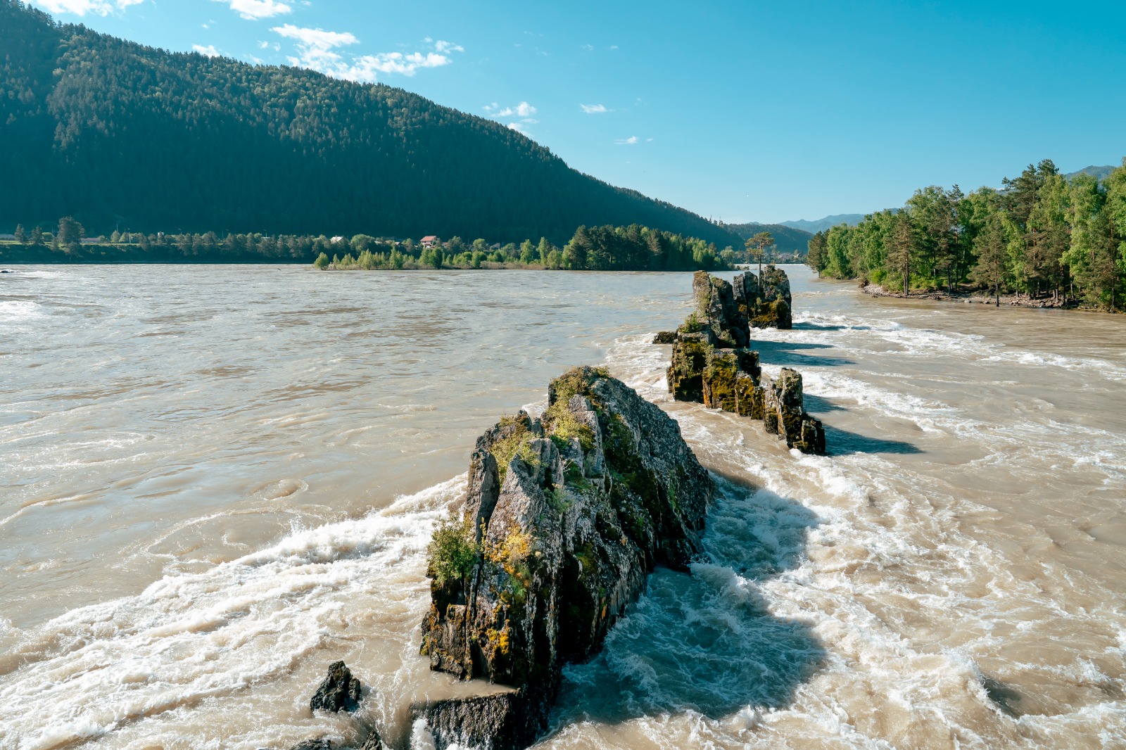 Туда, где цветет маральник (10/13)