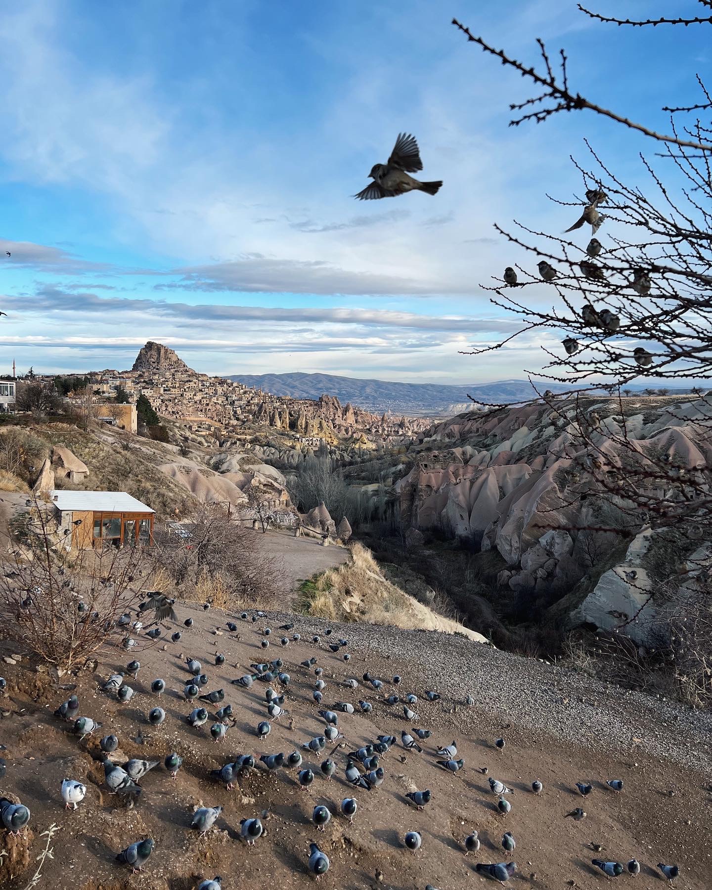 Утро в Анталии и переезд в Каппадокию