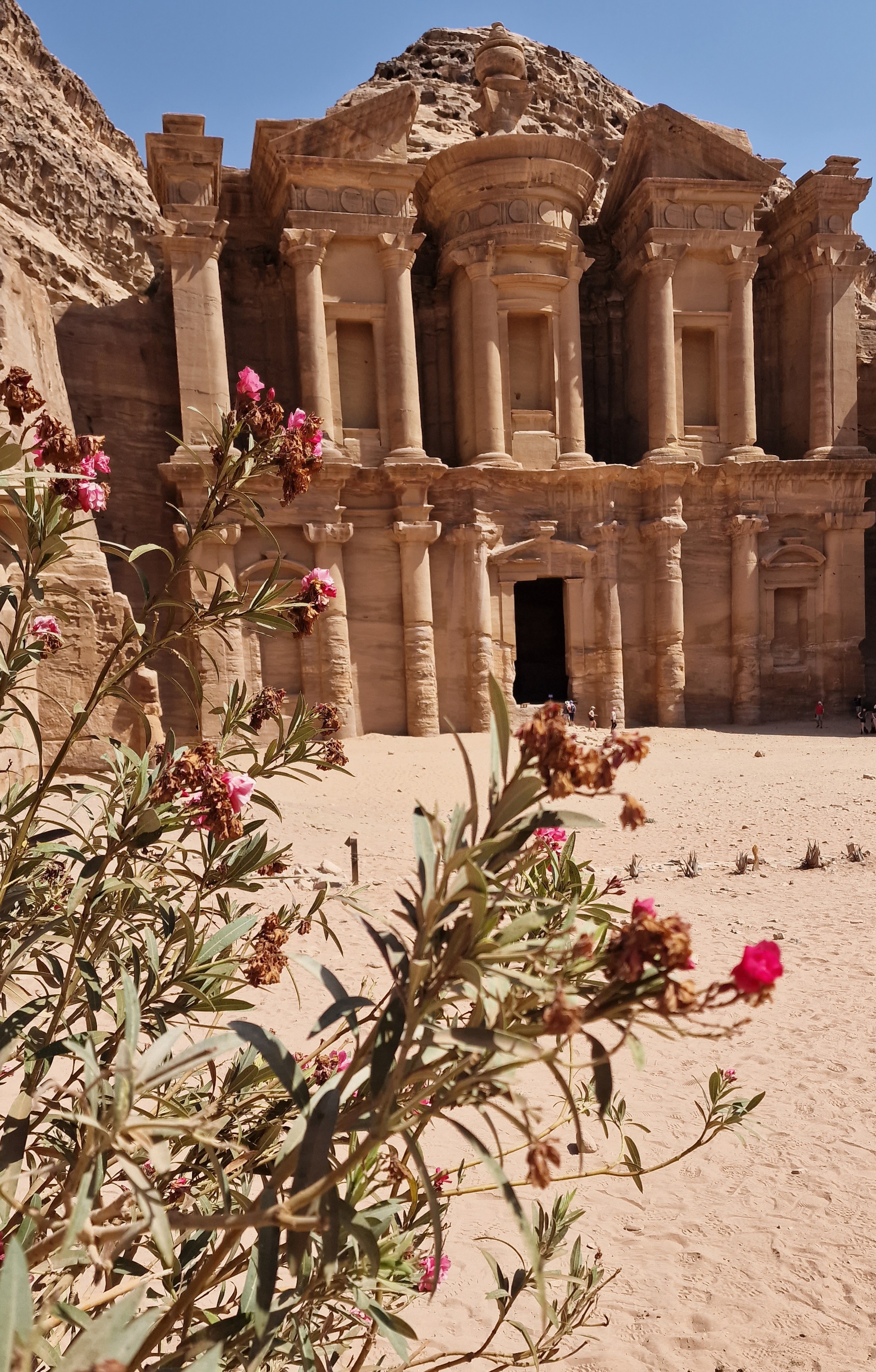 Загадки Иордании (с обедами) (22/24)