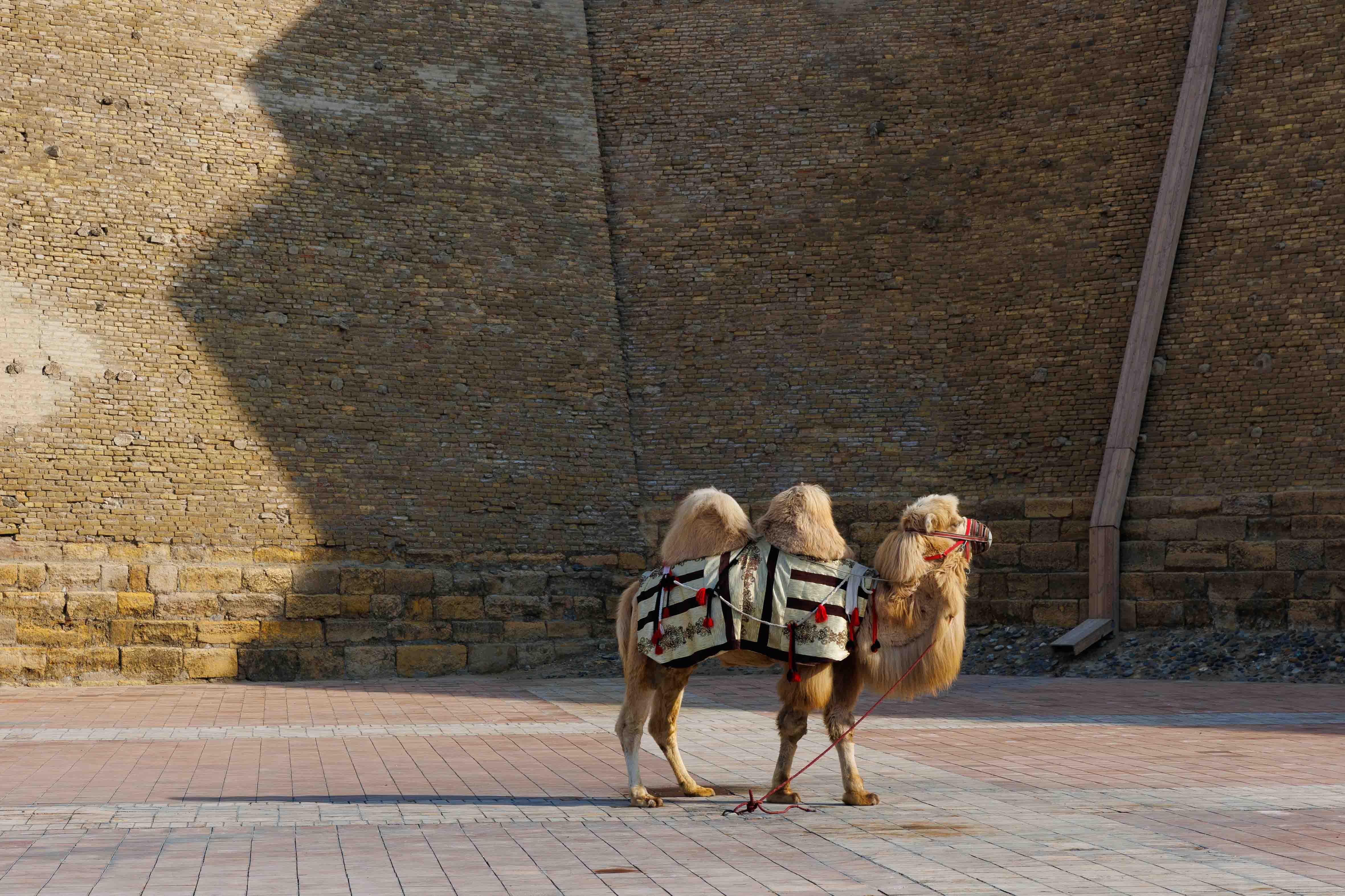 Ташкент, Самарканд, Бухара и Фанские горы (25/54)