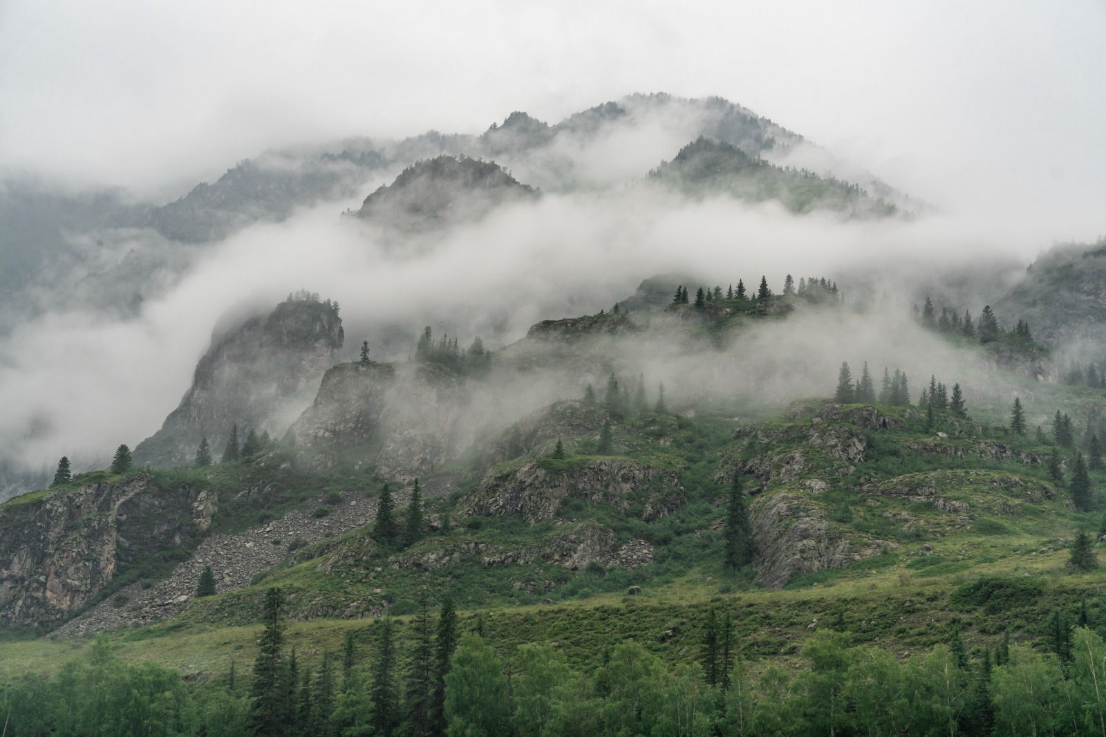 Катунь - спринт (8/14)