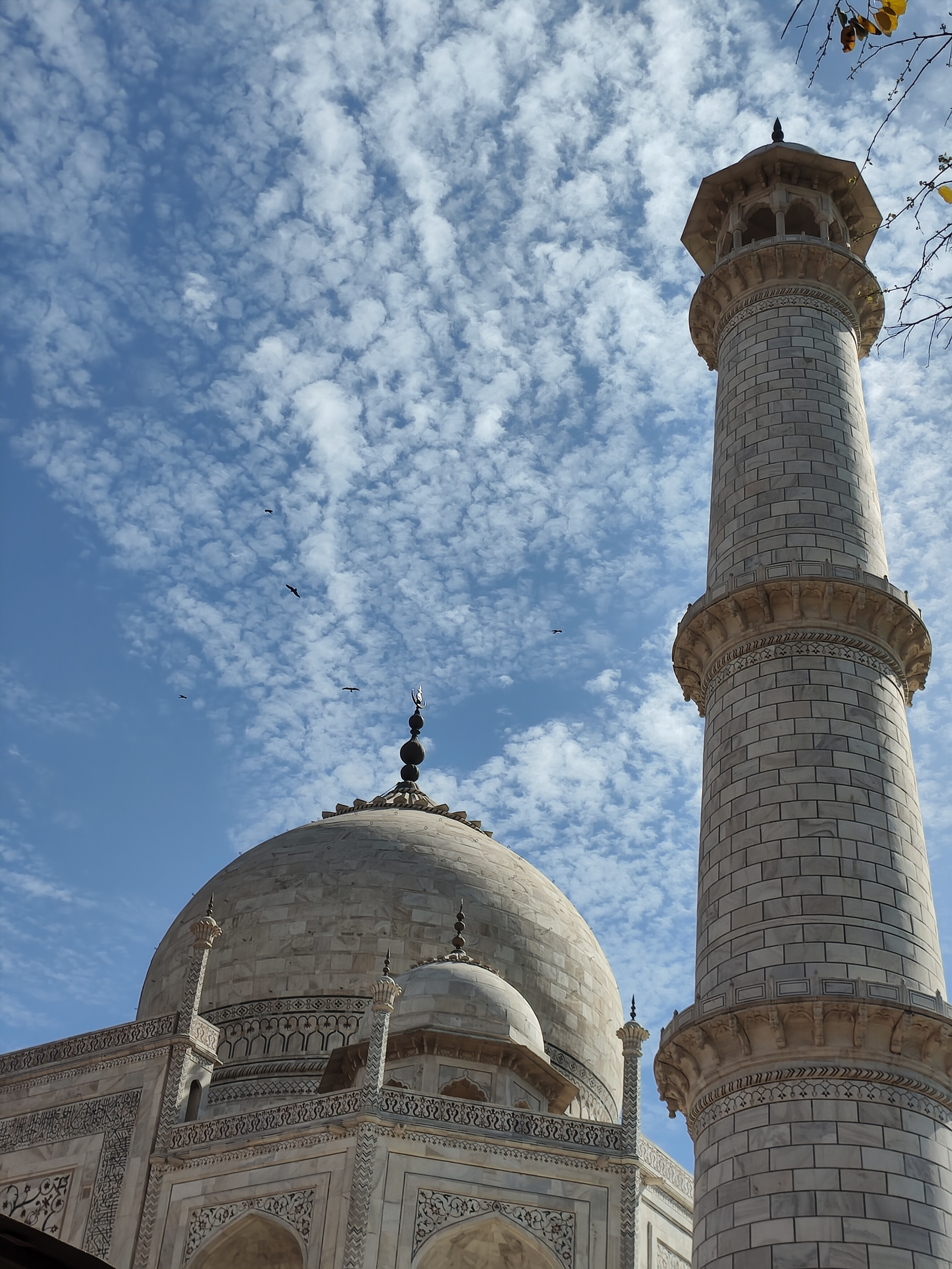 Индия глазами Рерихов (Гималаи, резиденция Далай Ламы) + Золотой треугольник (31/32)