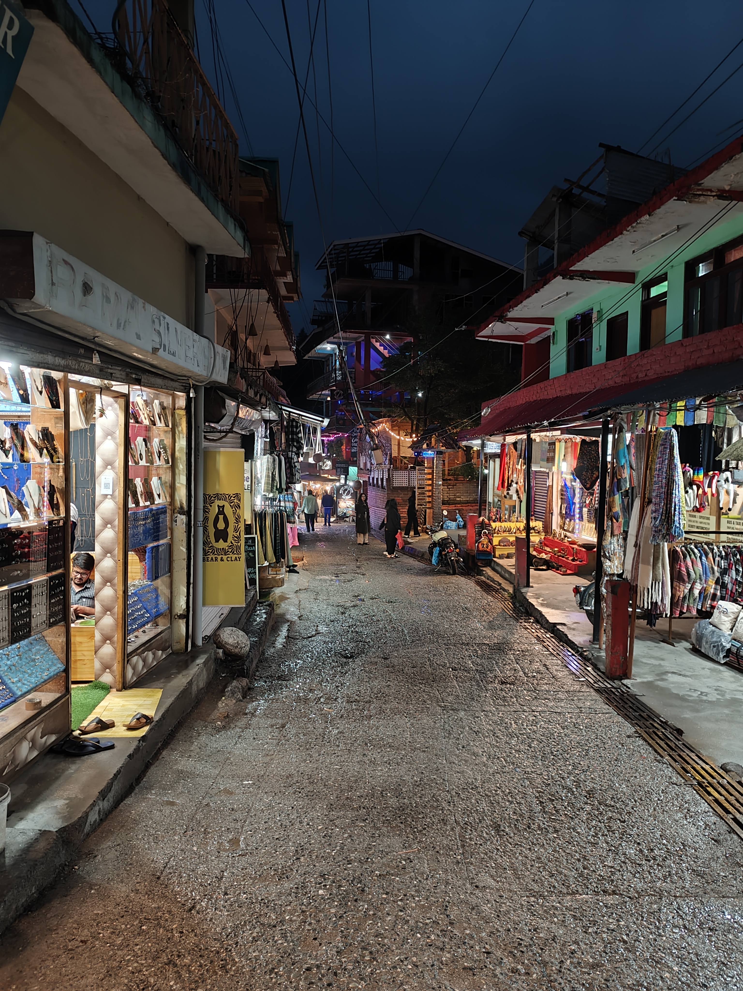 Индия глазами Рерихов (Гималаи, резиденция Далай Ламы) + Золотой треугольник (13/32)