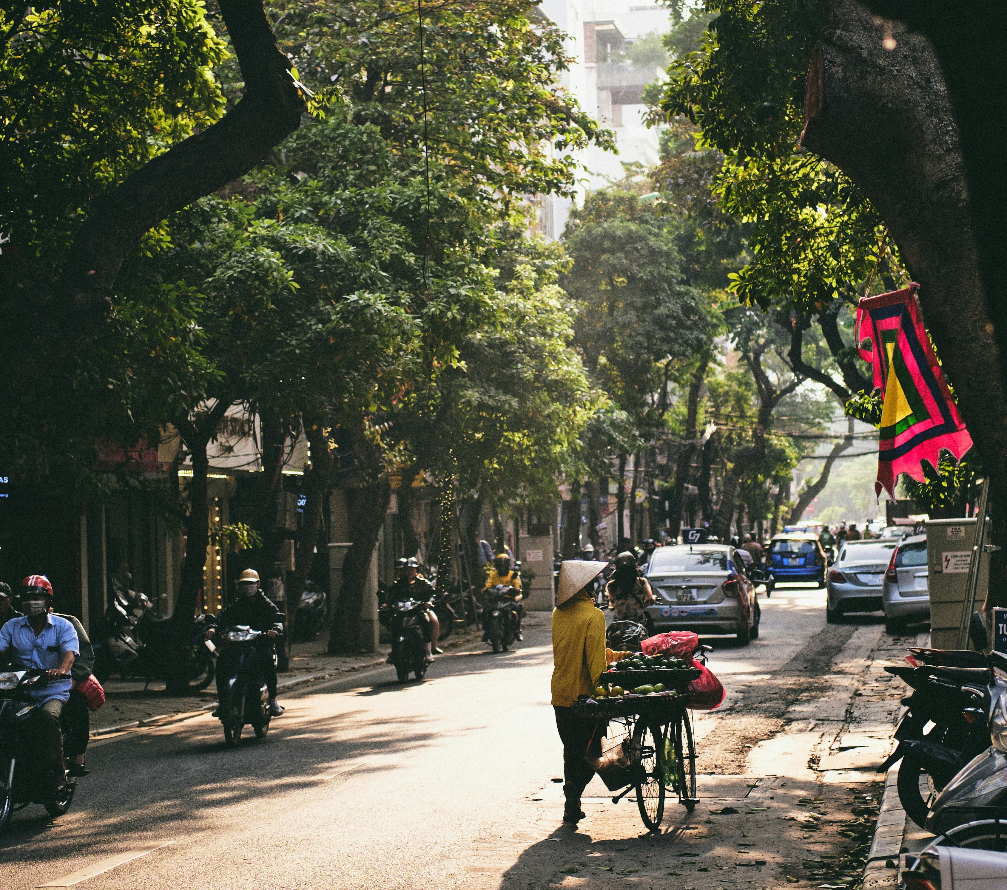 Промо-тур. Вьетнам: от Крыши Индокитая к солёным берегам (4/35)