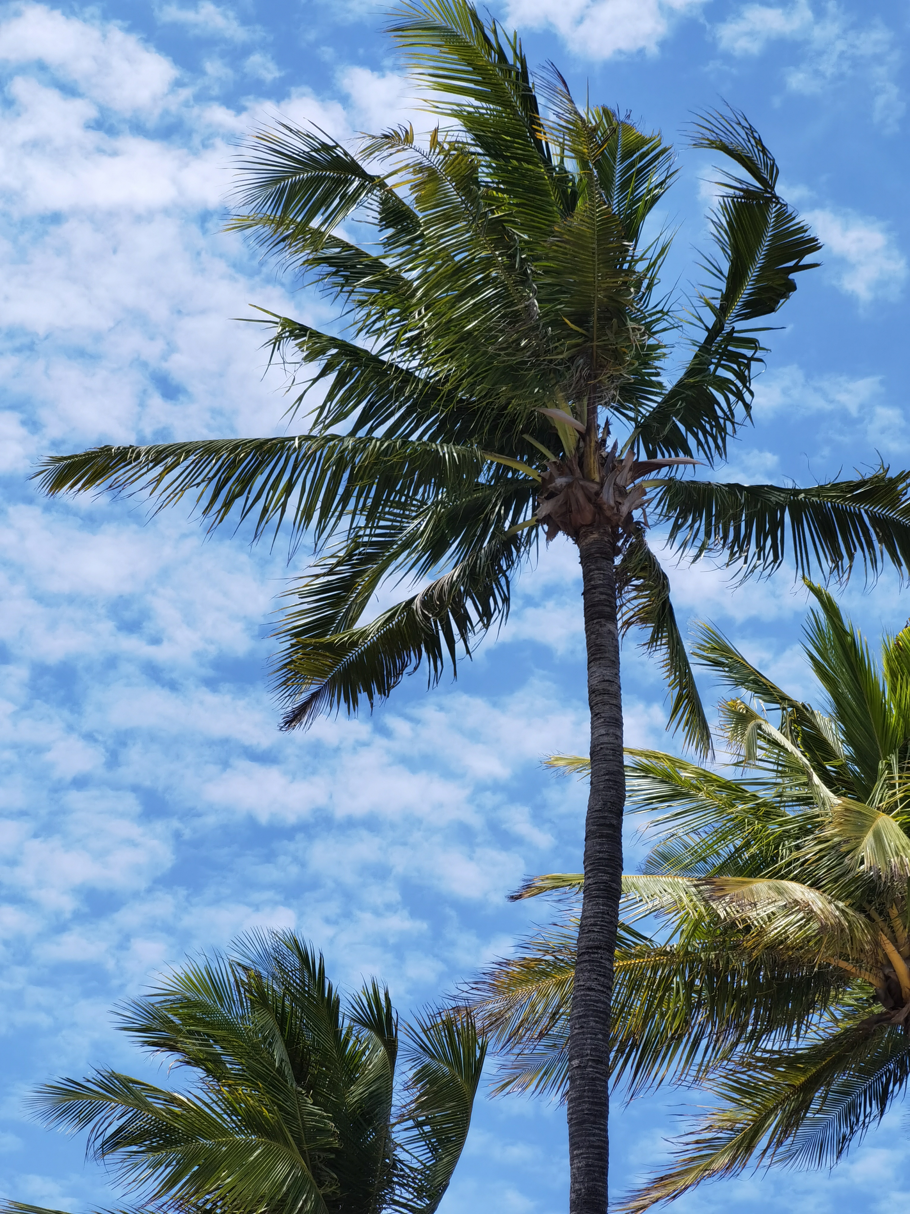 Хуа Хин - время моря