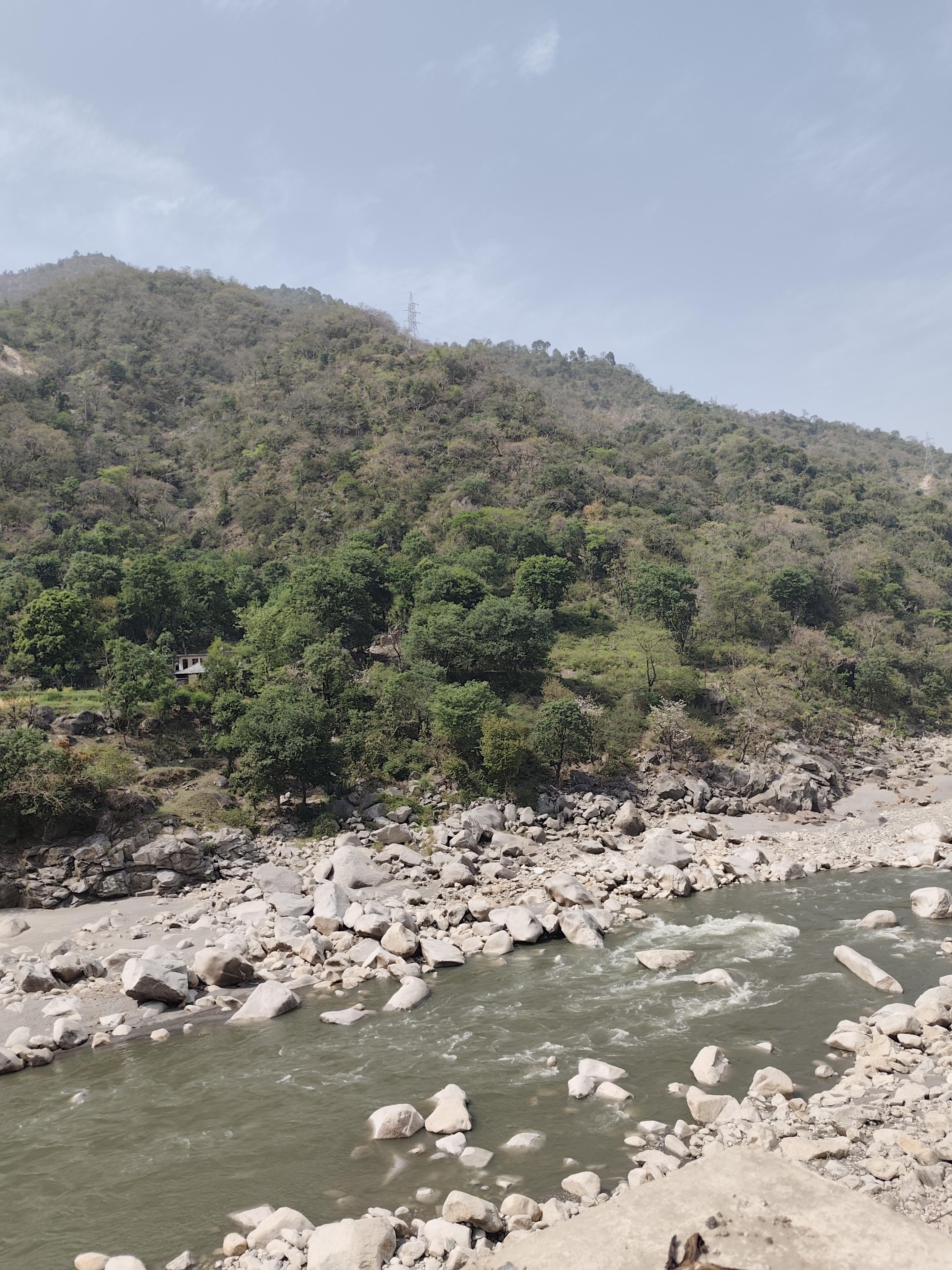 Индия глазами Рерихов (Гималаи, резиденция Далай Ламы) + Золотой треугольник (16/32)