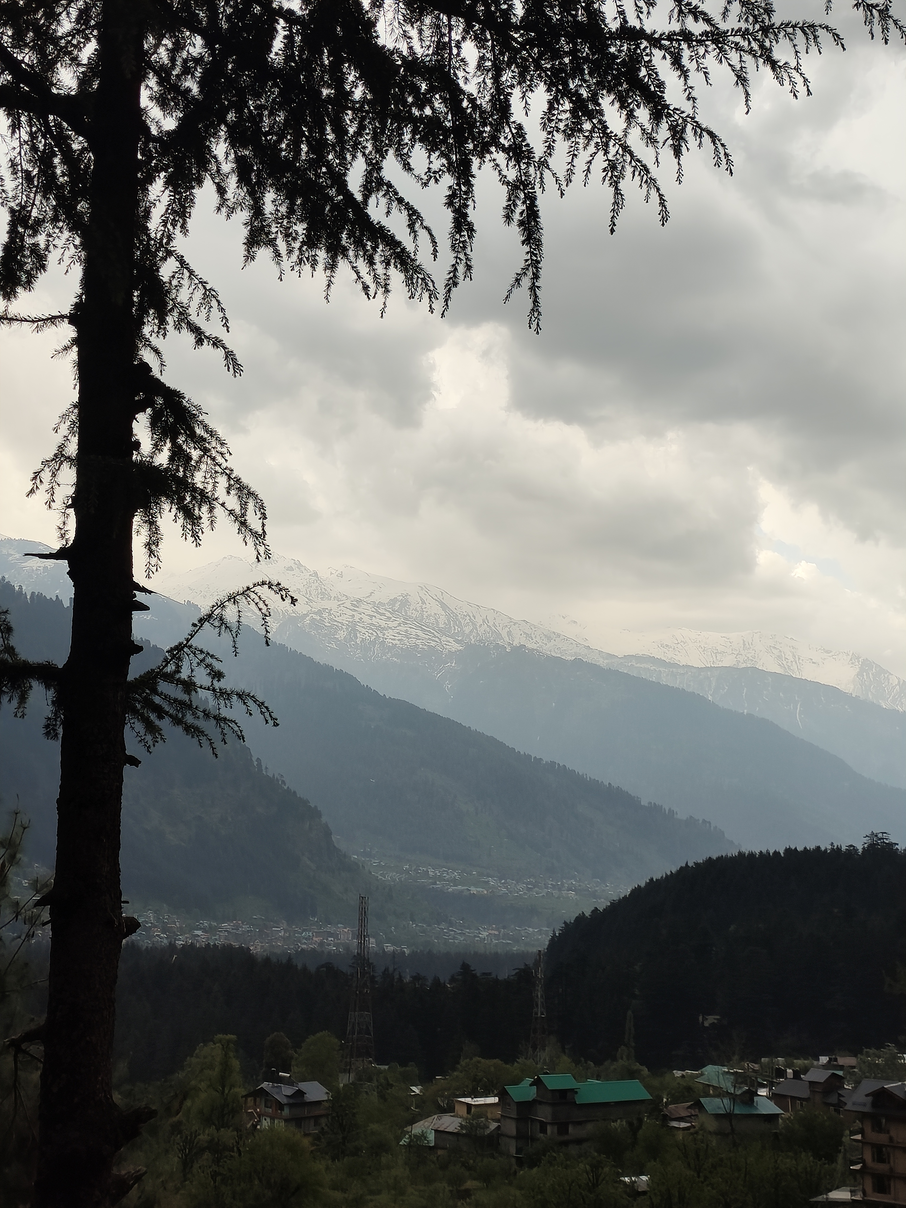 Индия глазами Рерихов (Гималаи, резиденция Далай Ламы) + Золотой треугольник (6/32)