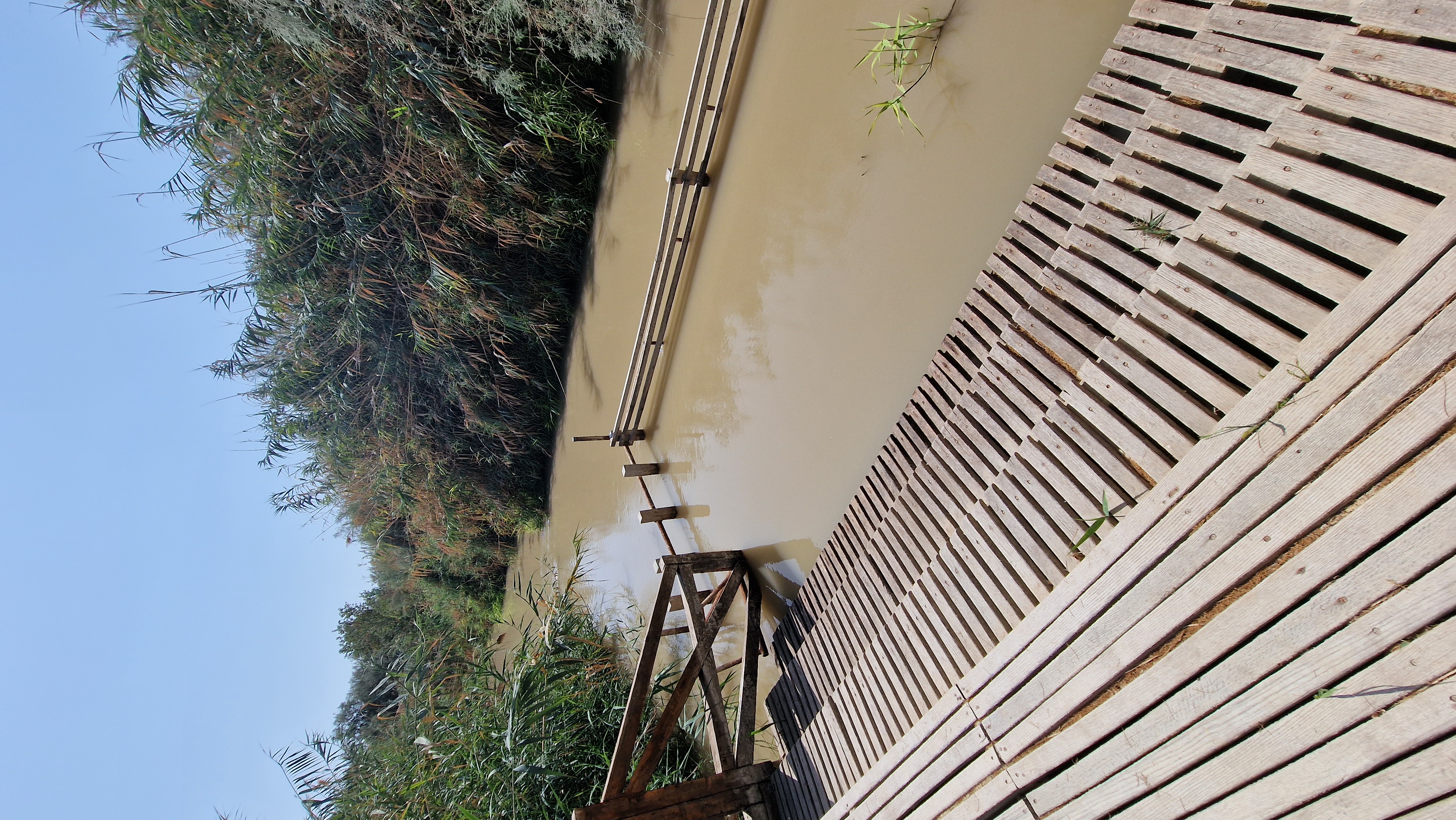 Загадки Иордании (с обедами) (15/24)